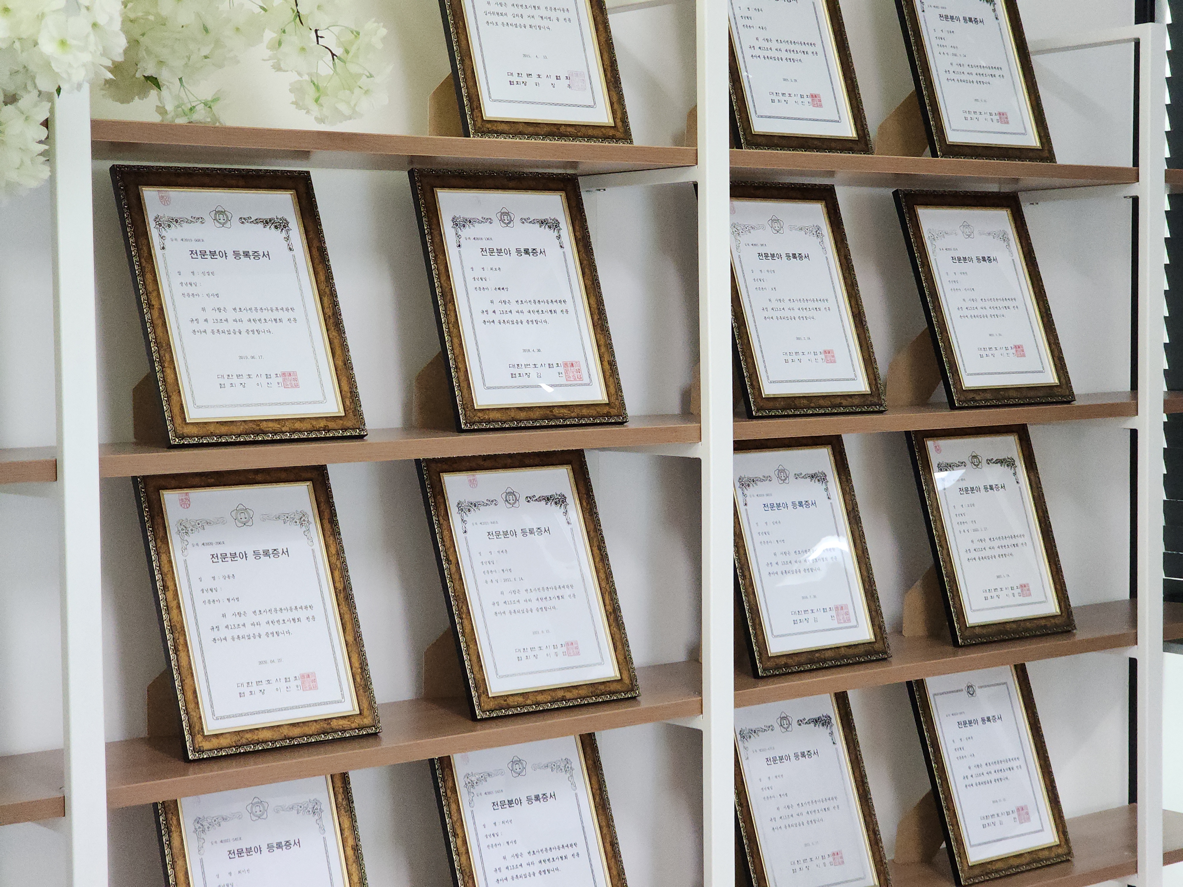 법무법인 대륜 강릉분사무소 강릉변호사 법률상담 대표 이미지