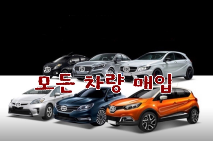안성중고차매매단지카맨모터스 대표 이미지