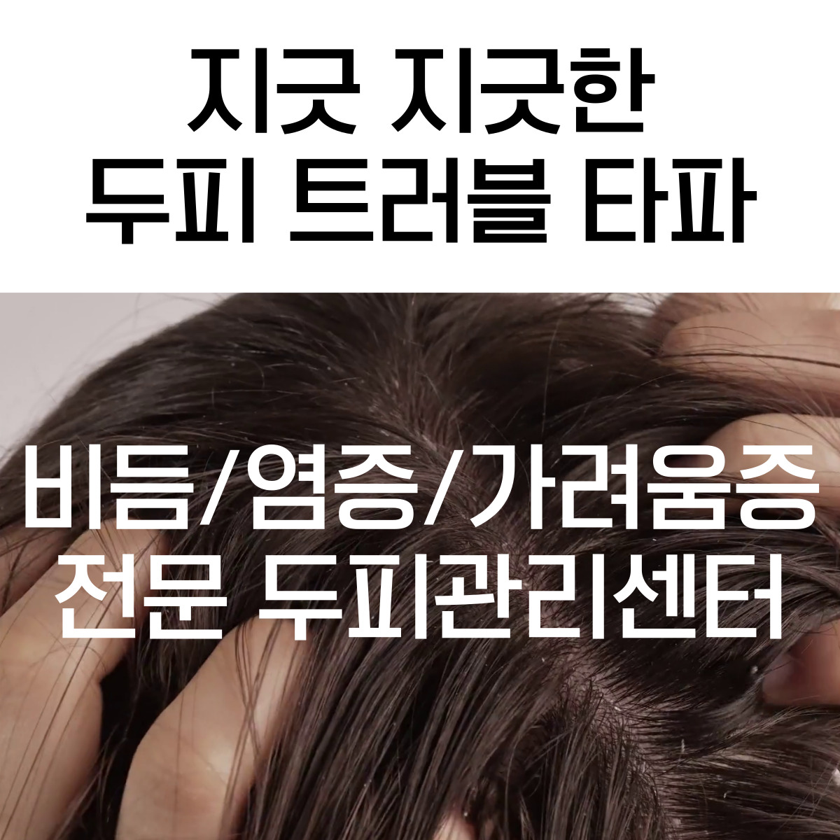 모앤영 신촌점