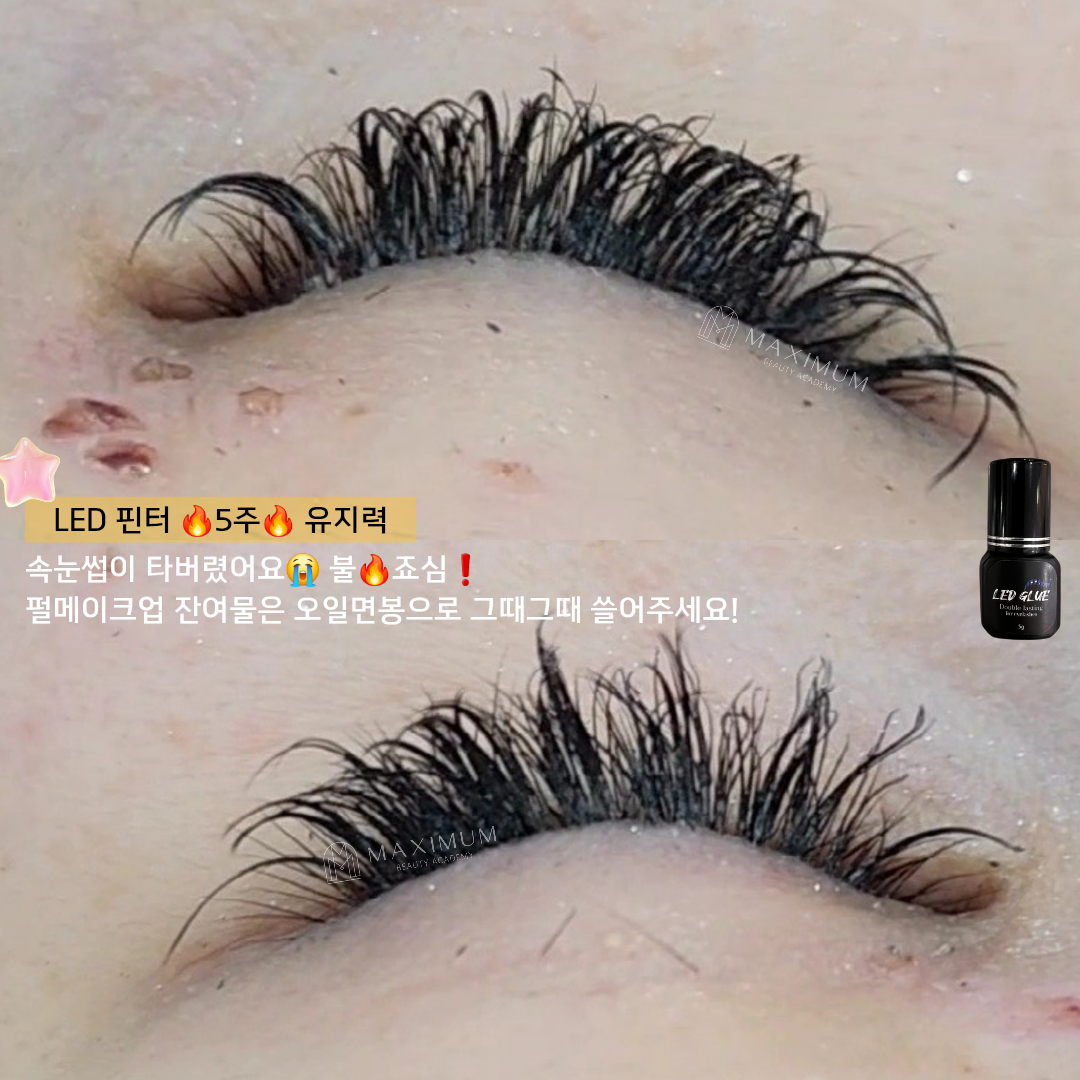 맥시멈래쉬 LED속눈썹&왁싱&브로우바 강남점
