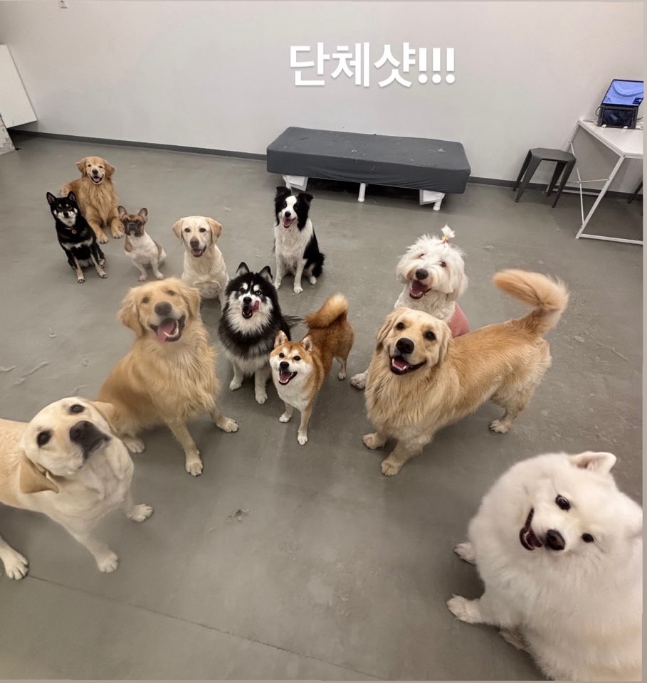 멍얀트리 대표 이미지