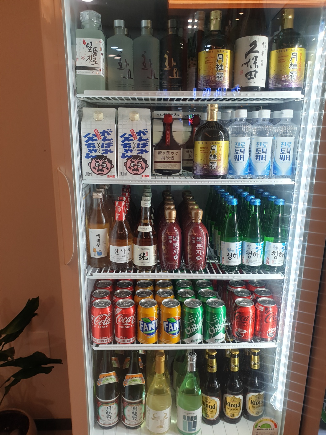 깊고푸른참치