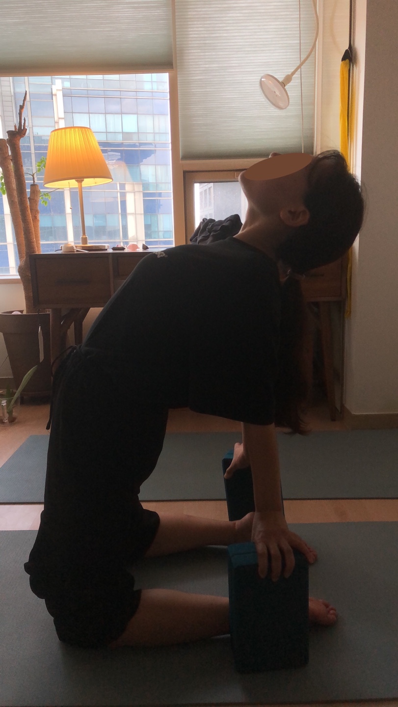 자애요가&명상 대표 이미지