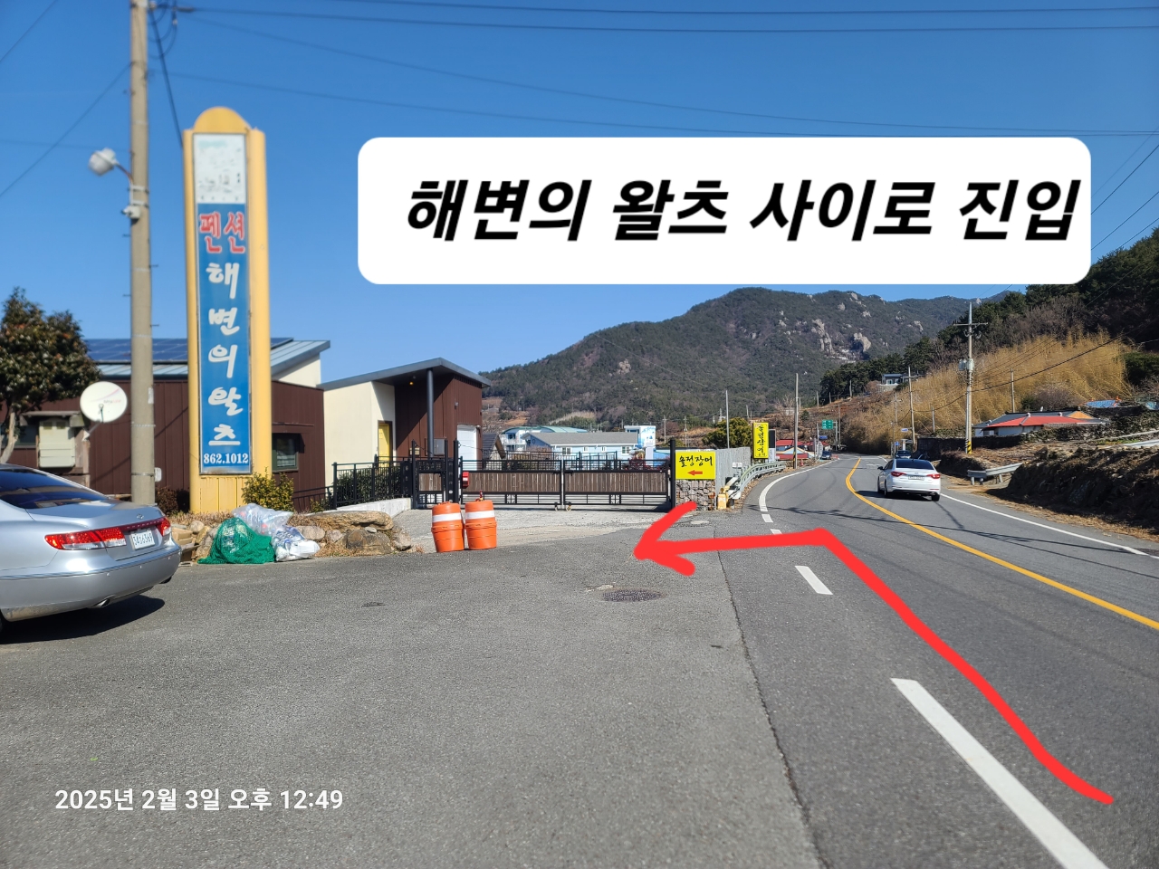 솔정장어