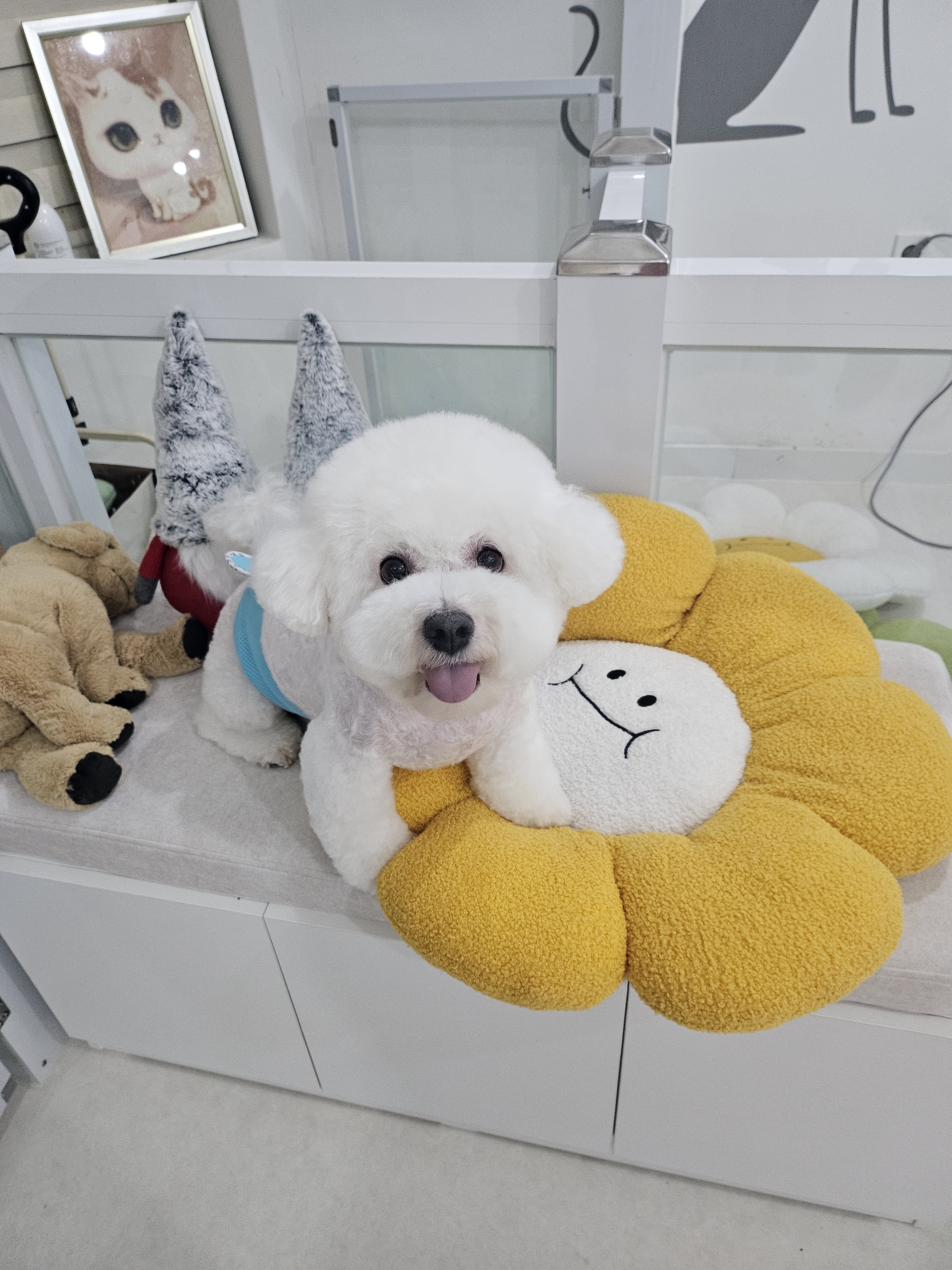 개멋지냥 대표 이미지