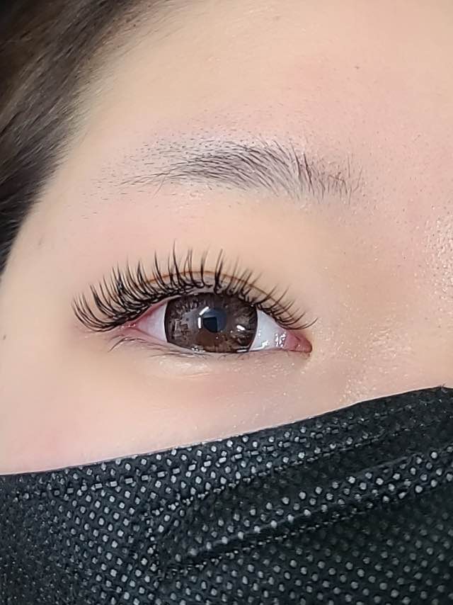 더눈썹 대표 이미지