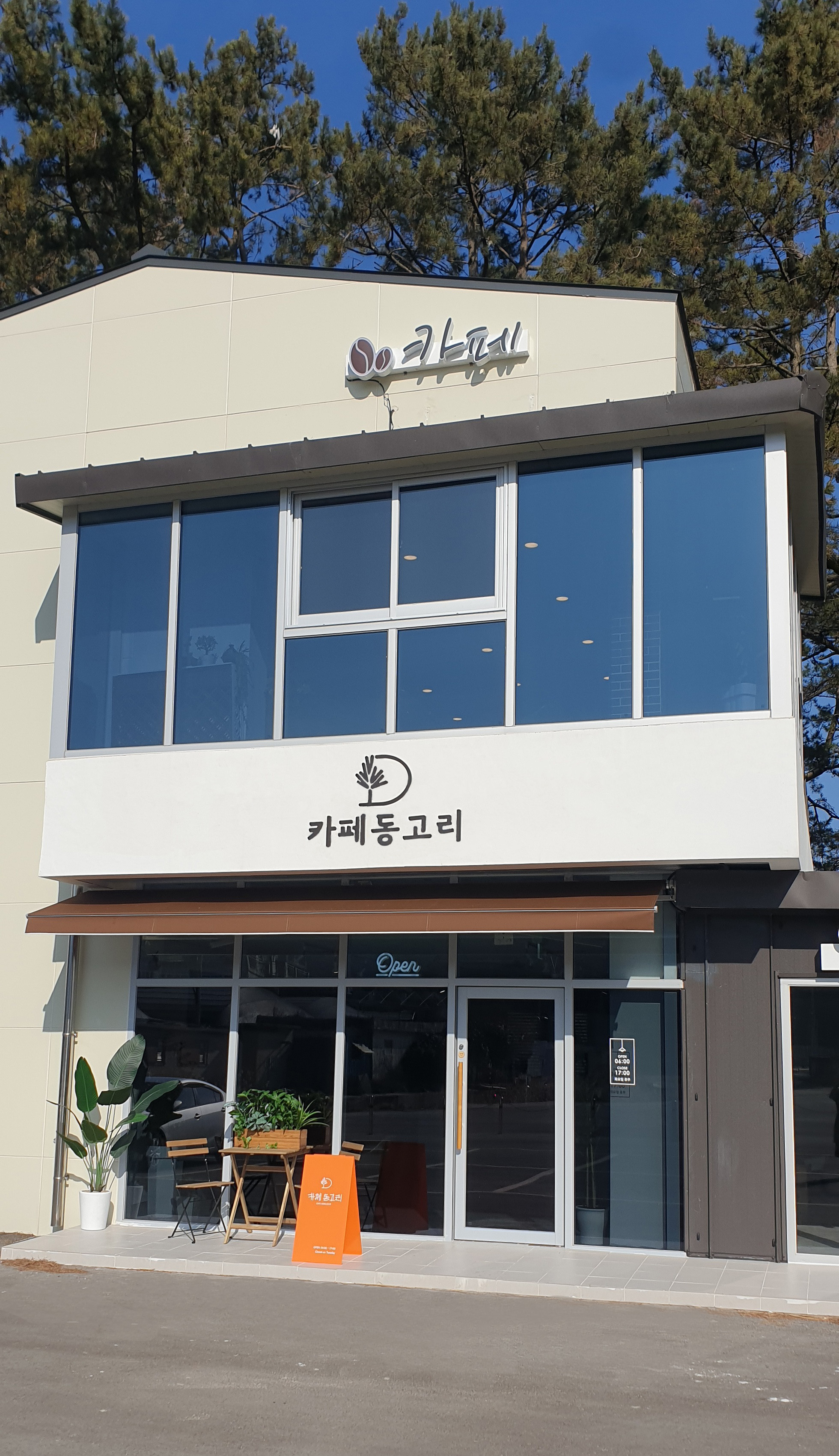 카페동고리 반려동물 동반 애견카페