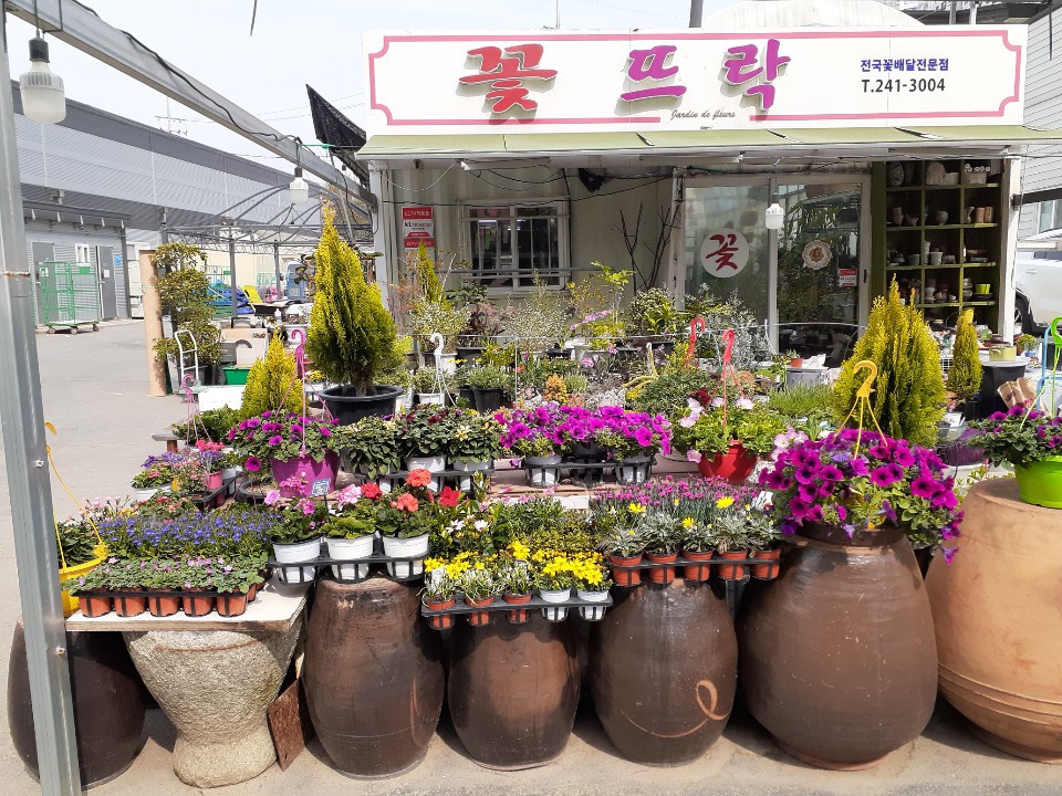 꽃뜨락