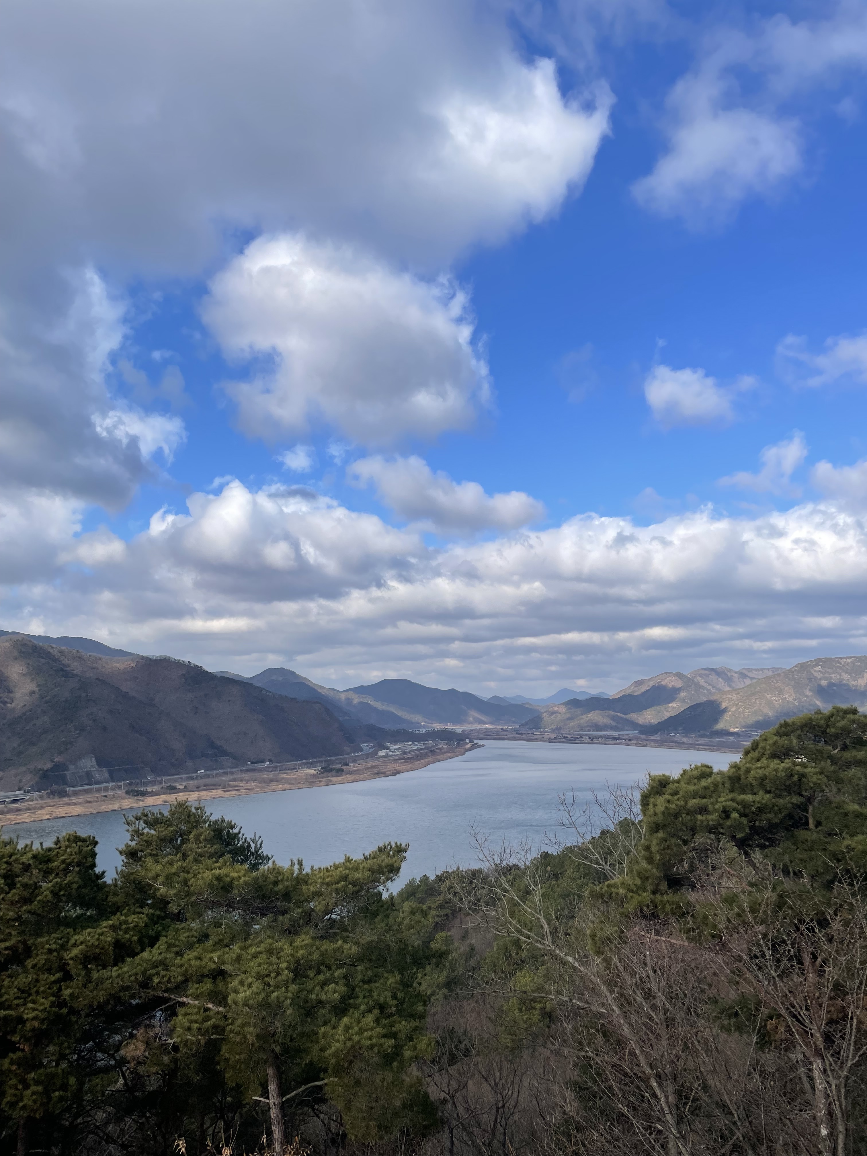 전망대매화농원