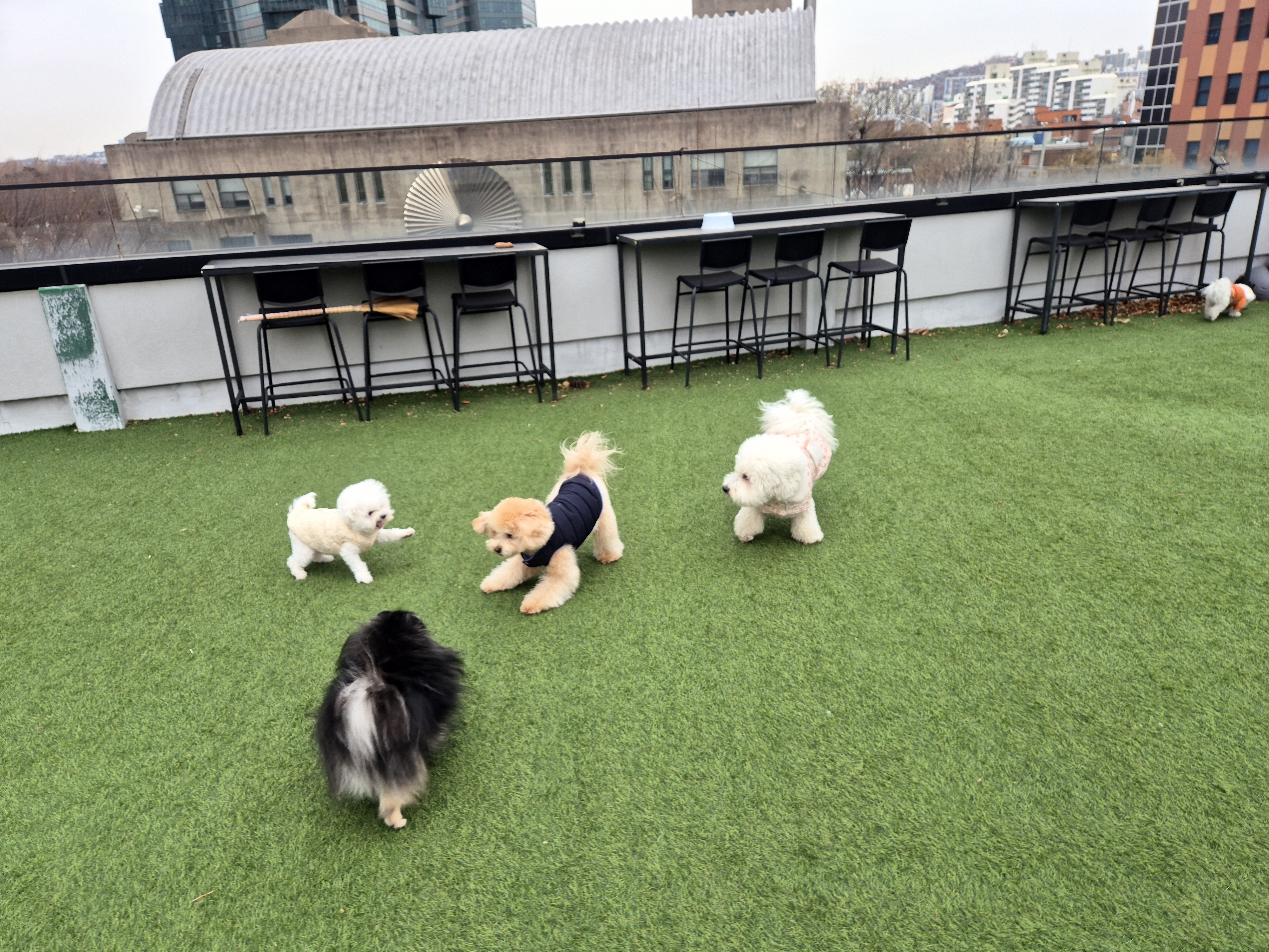 성수퍼피 대표 이미지