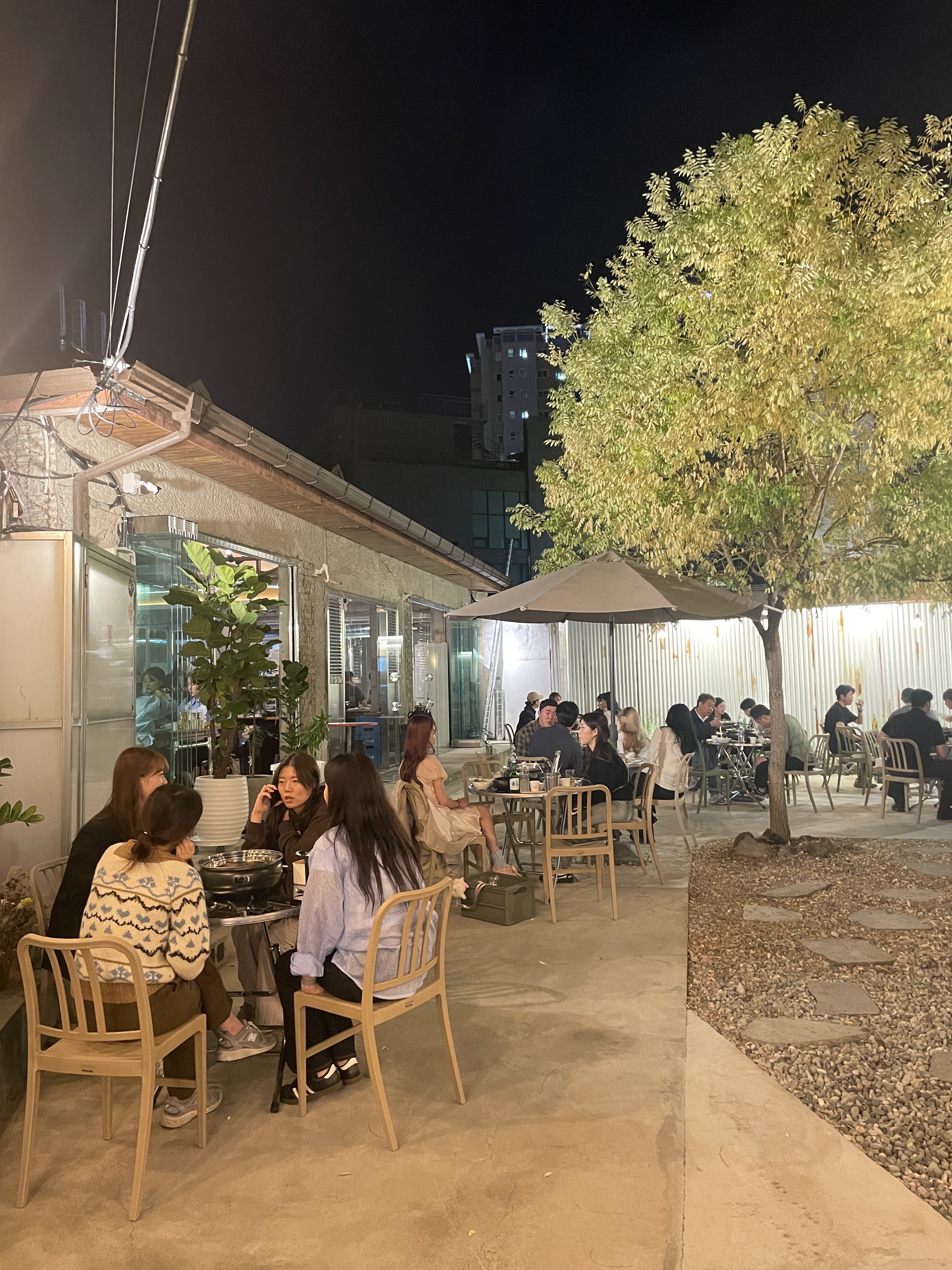 정애돈