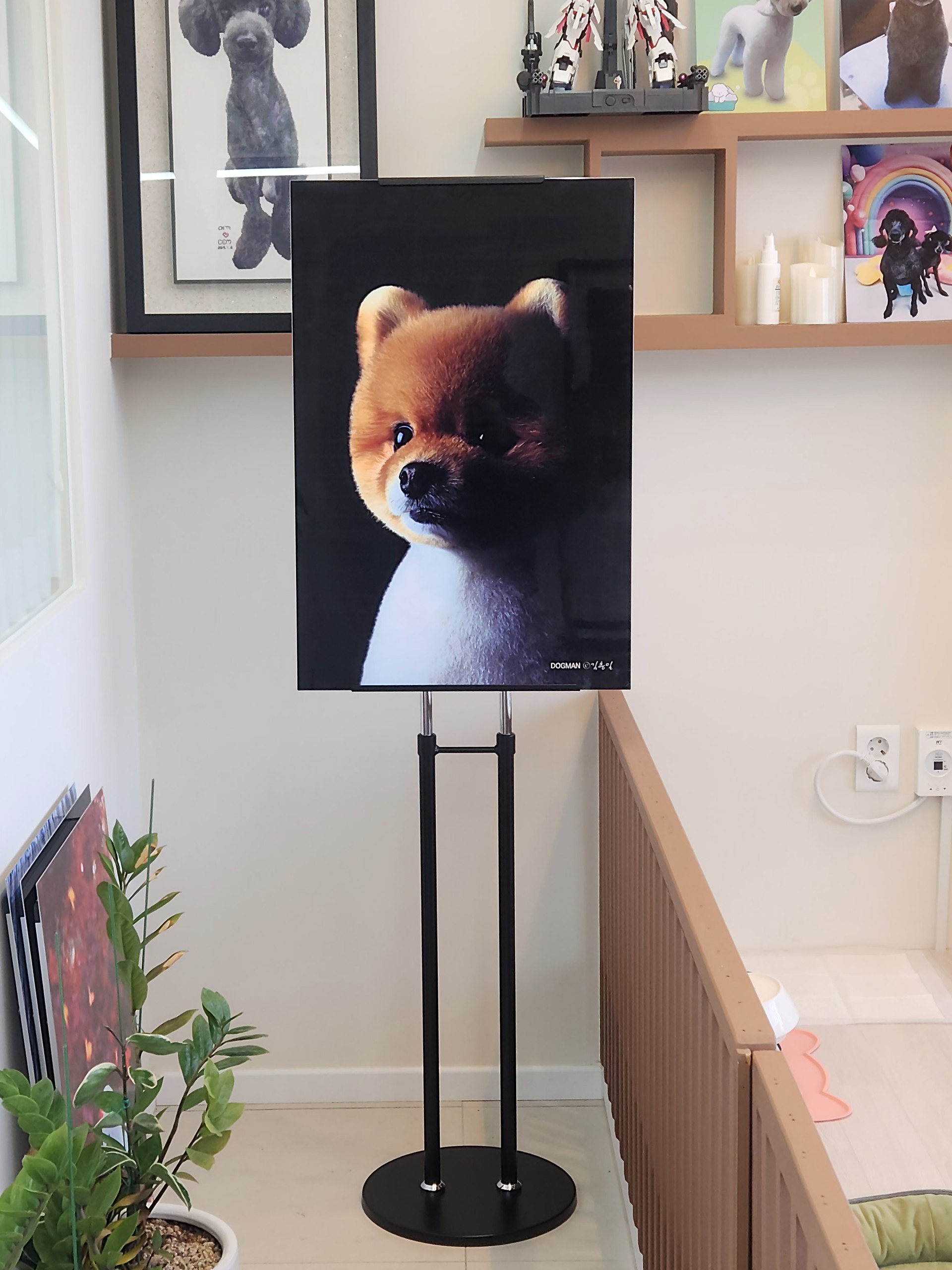 도그맨 대표 이미지