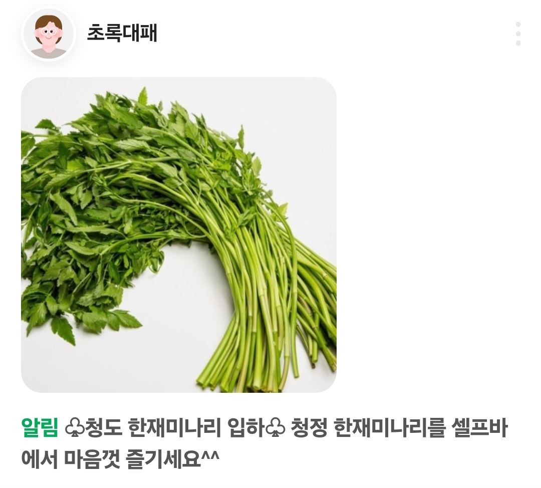 초록대패