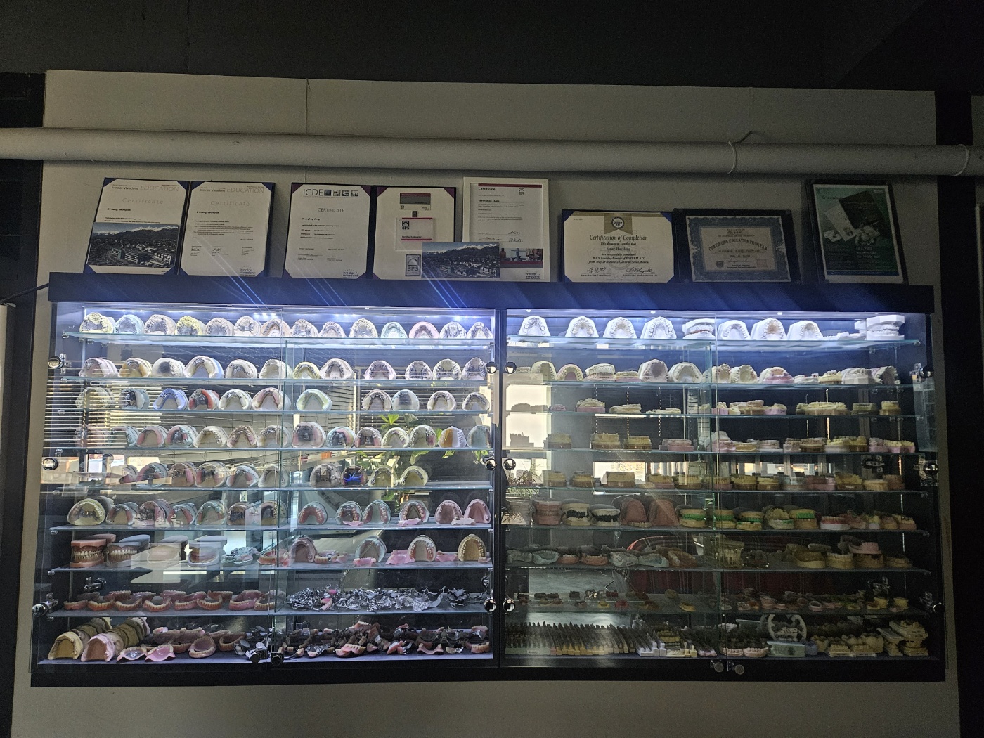 클로버치과기공소 대표 이미지