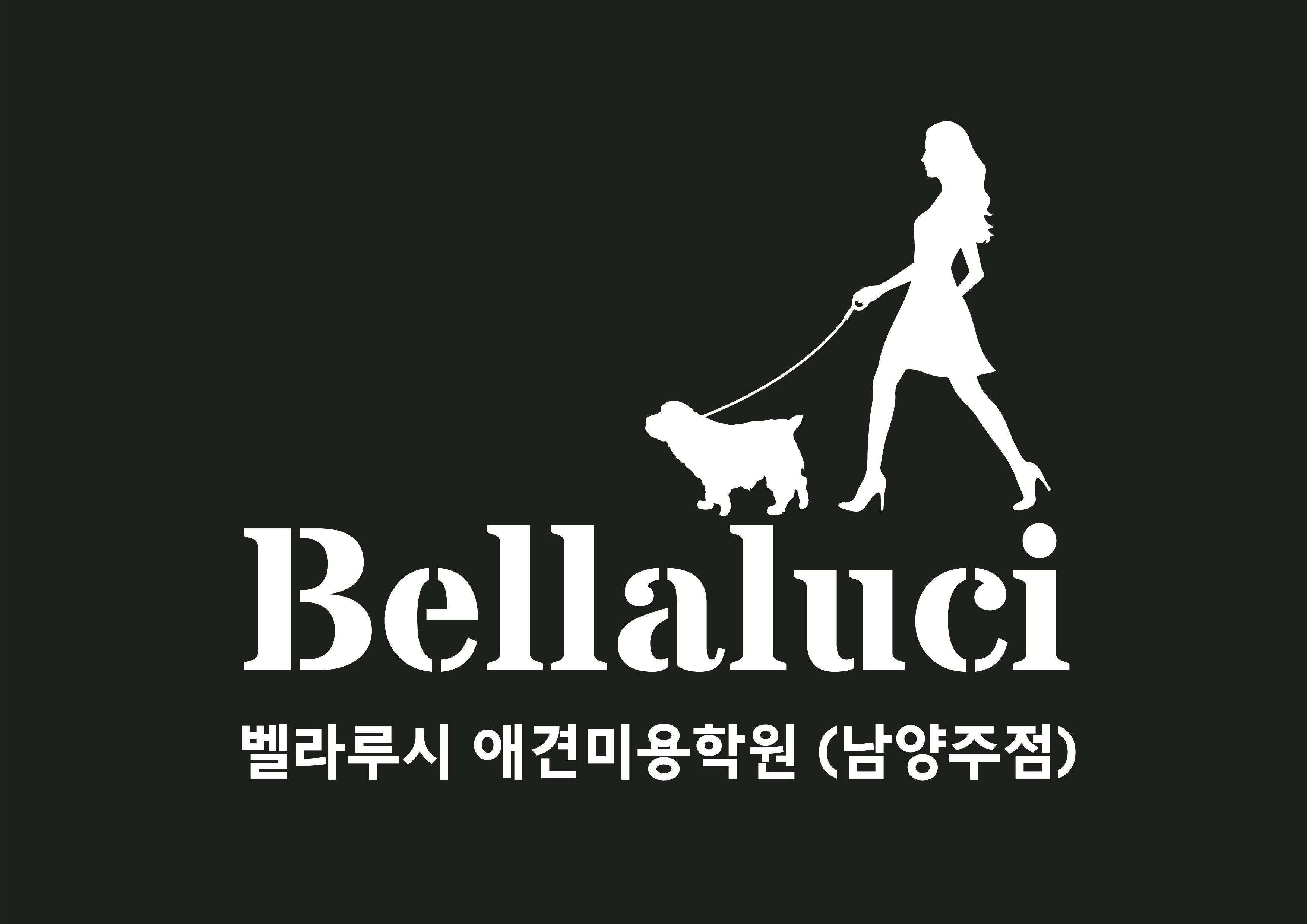 벨라루시애견미용학원 남양주점