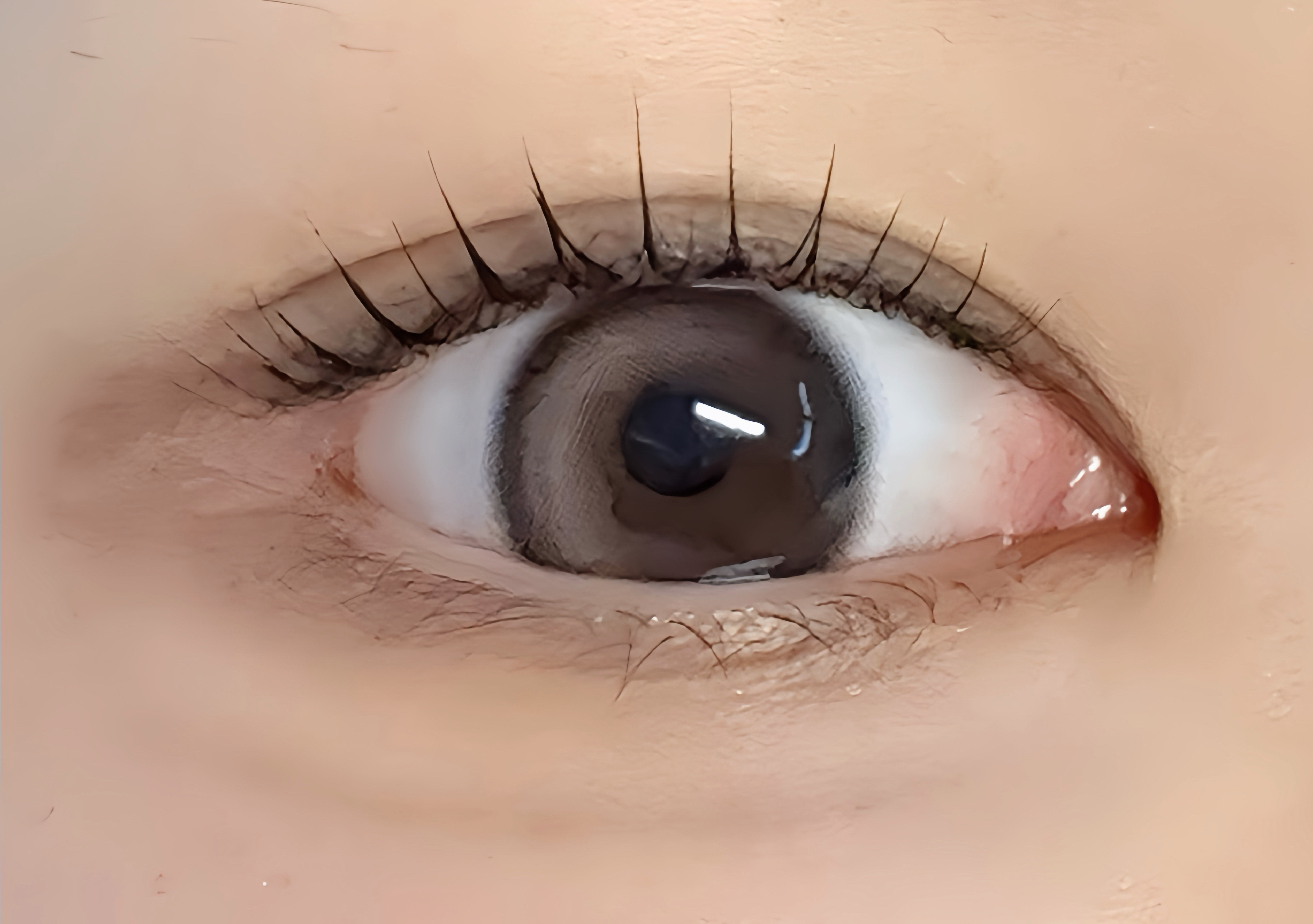 커민 도안점 대표 이미지