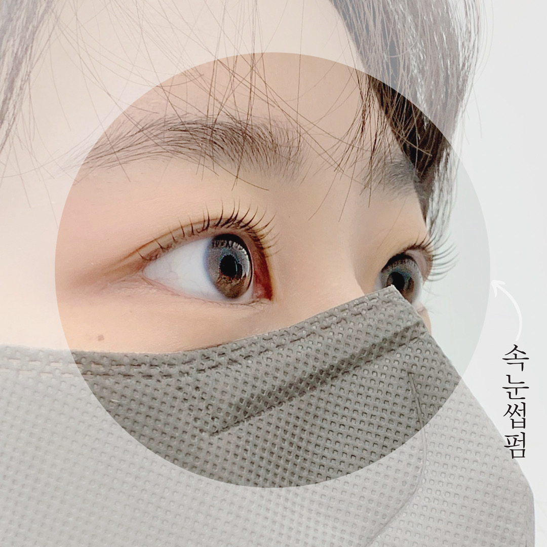 헤일로뷰티 속눈썹펌&눈썹