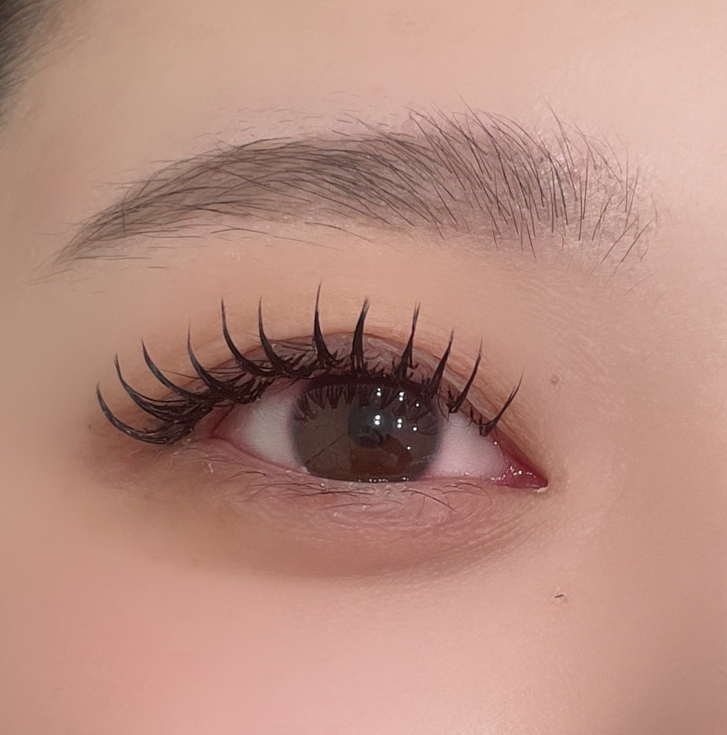 아이오르