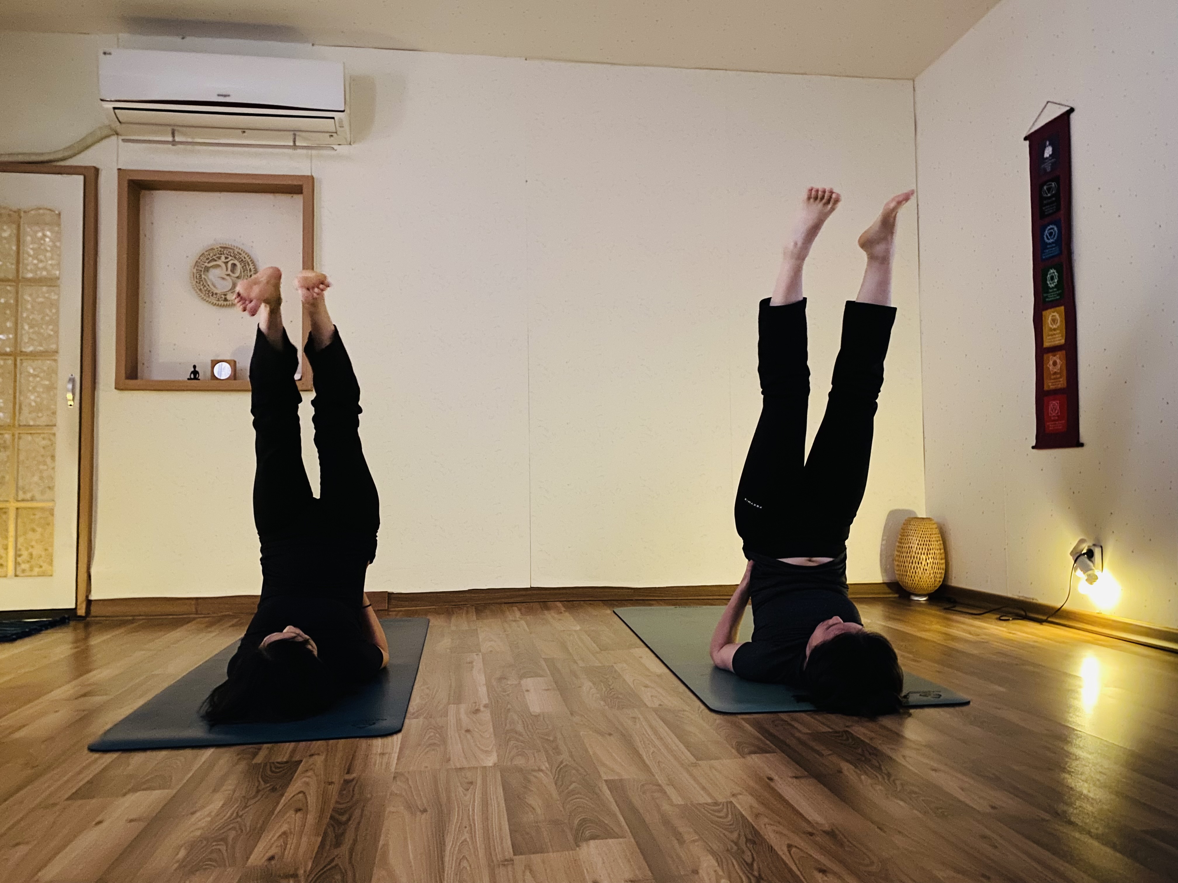 사띠요가 대표 이미지