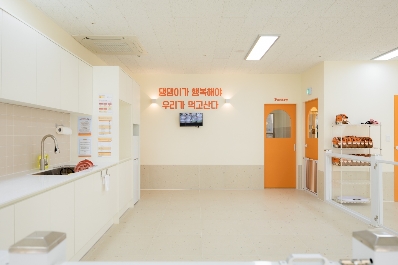 놀러오개 애견유치원 애견호텔 동대문점 대표 이미지