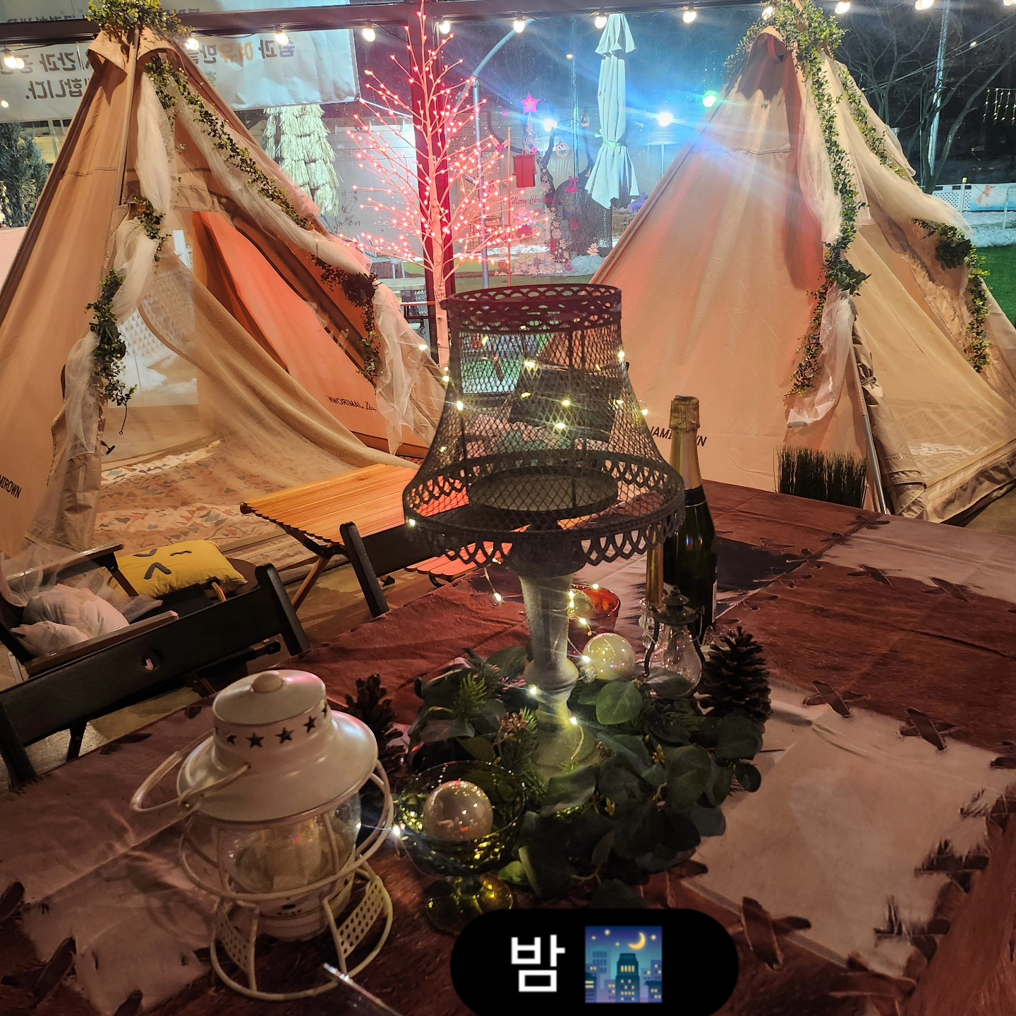 테일즈파크 캠프 경기 애견카페