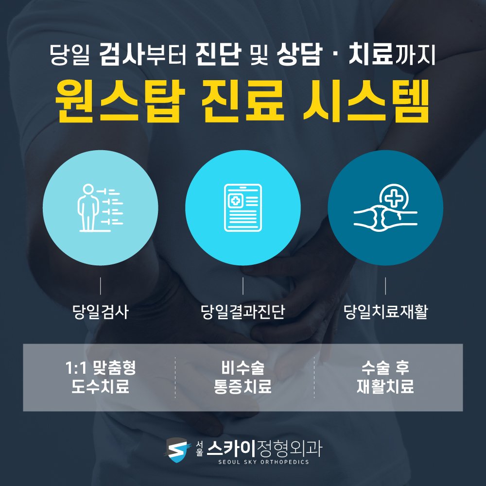 서울스카이정형외과의원 대표 이미지