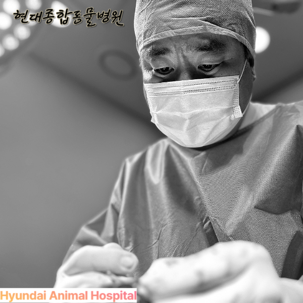 현대종합동물병원 대표 이미지