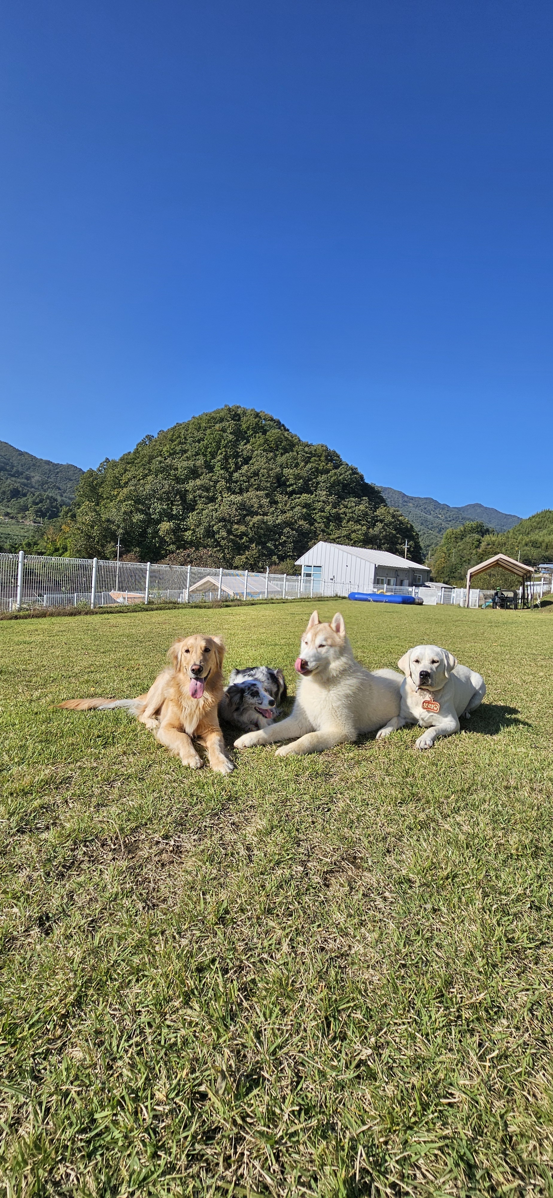 라지독스 — 충주시