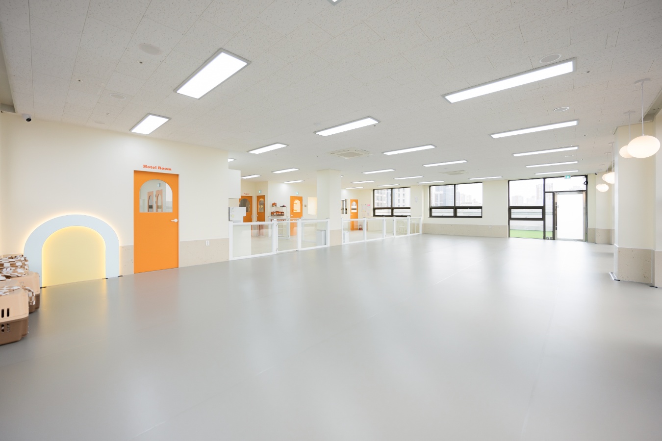 놀러오개 애견유치원 애견호텔 동대문점 대표 이미지