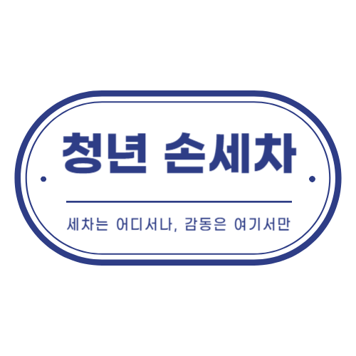 청년손세차