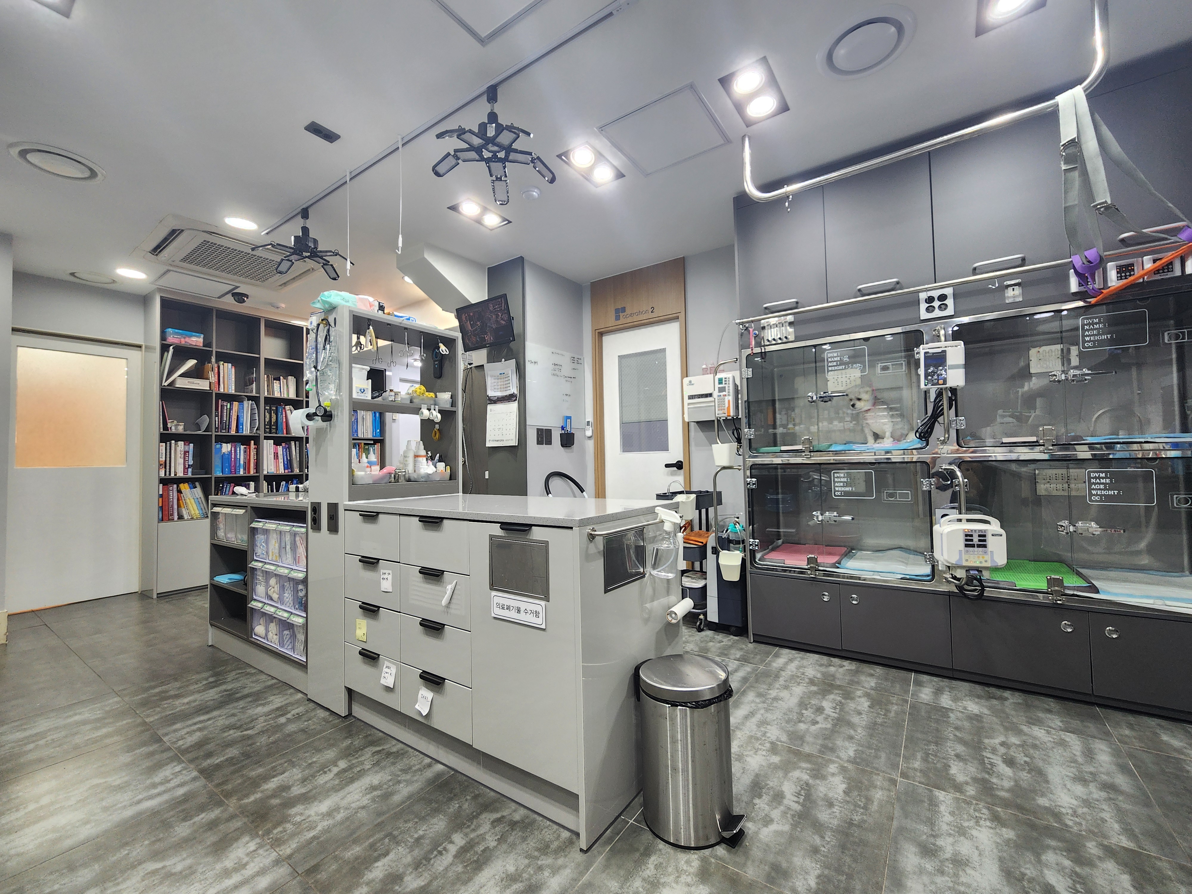 현대종합동물병원 대표 이미지