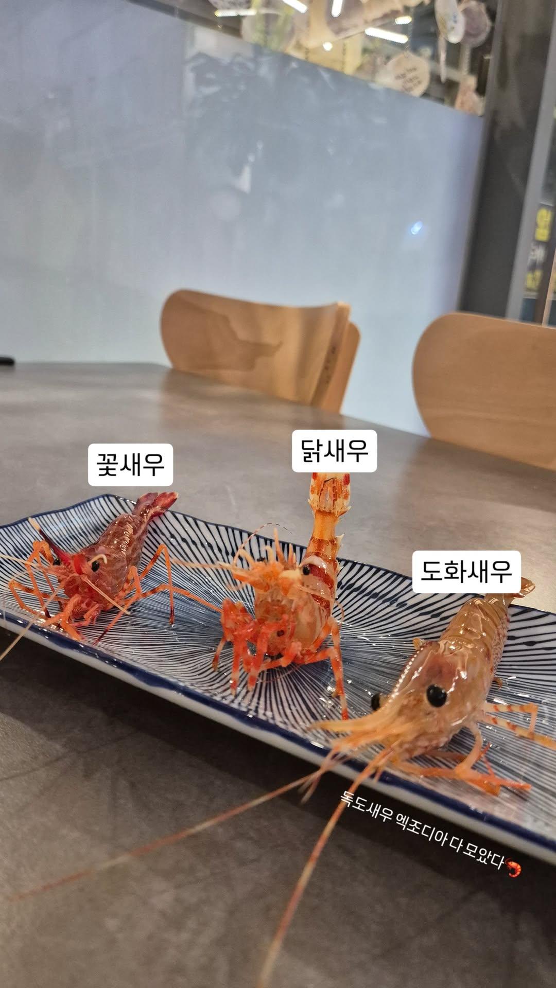 해초롱