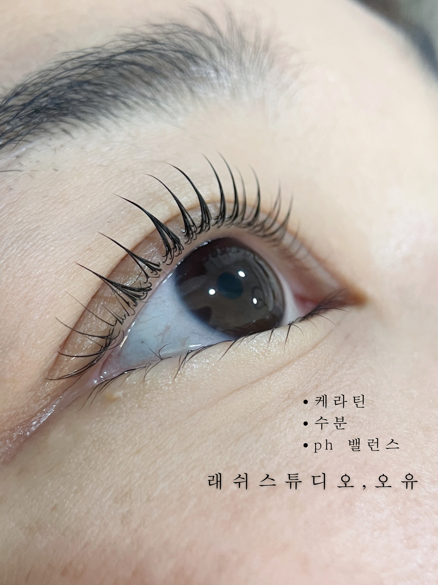 래쉬스튜디오 오유