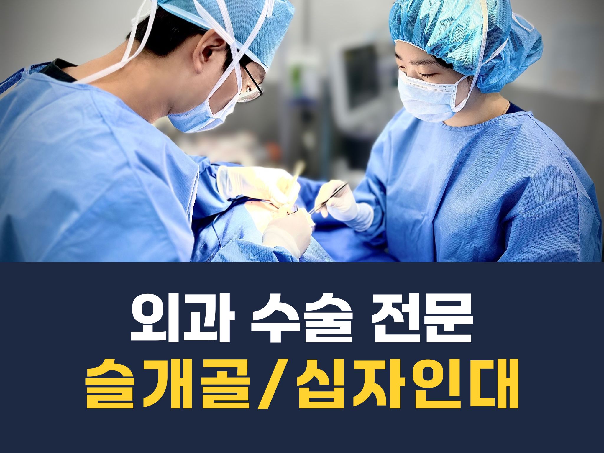 스카이동물의료센터
