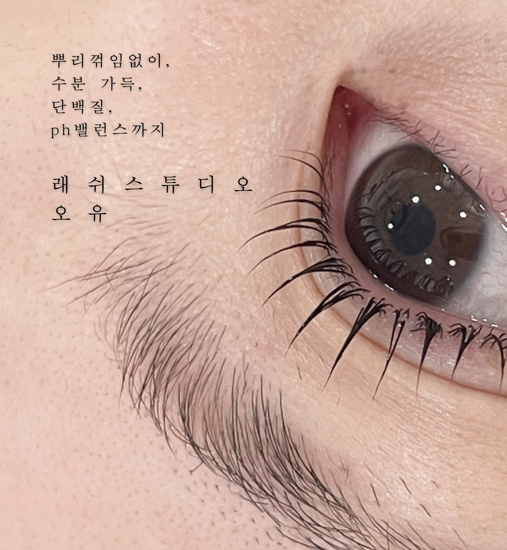 래쉬스튜디오 오유