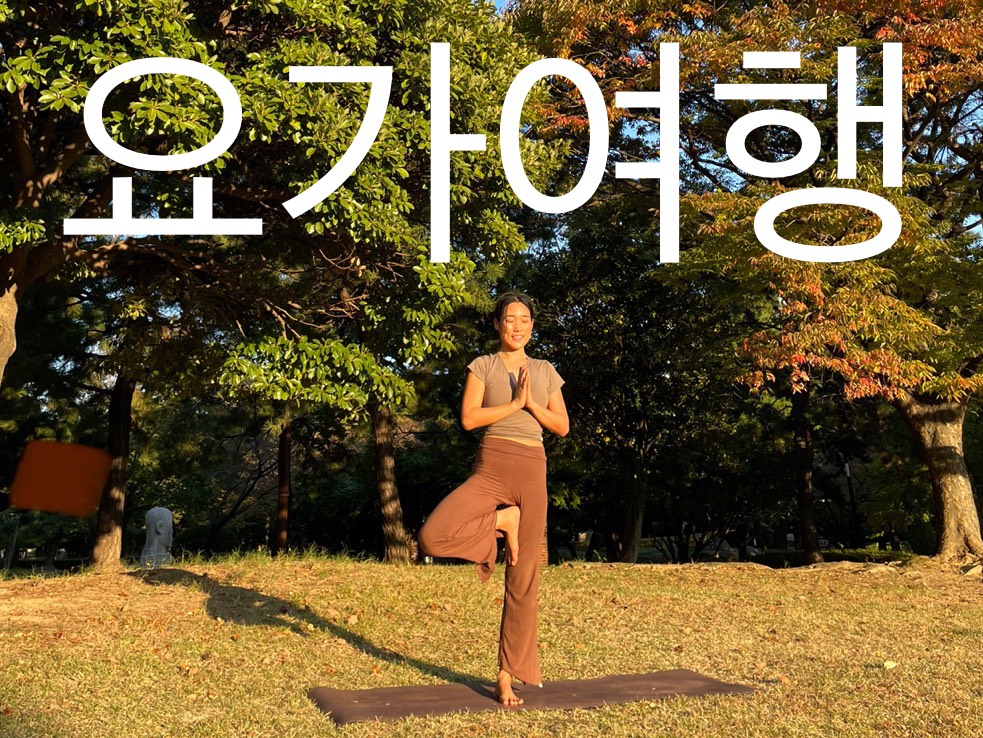 요가여행 대표 이미지