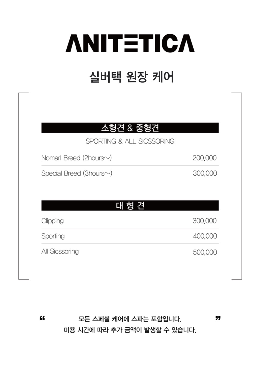 애니테티카