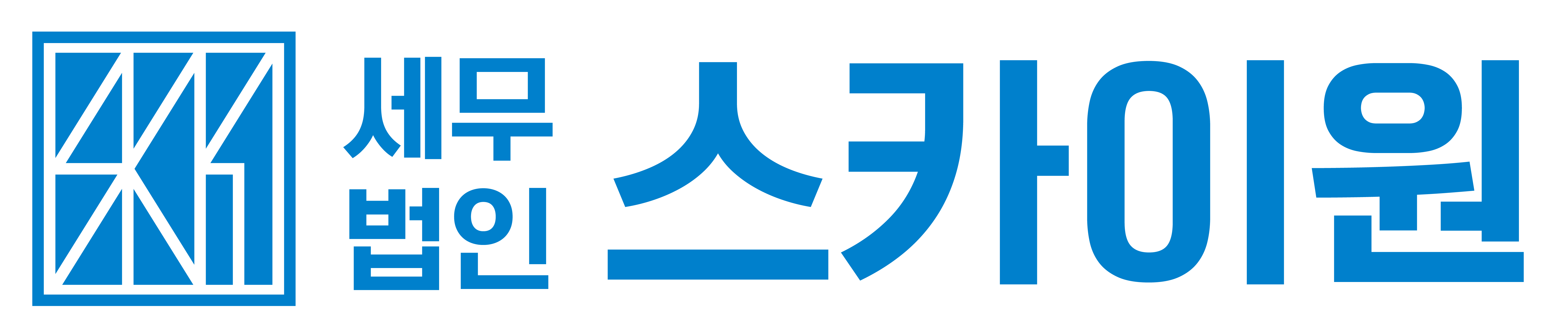 세무법인 스카이원