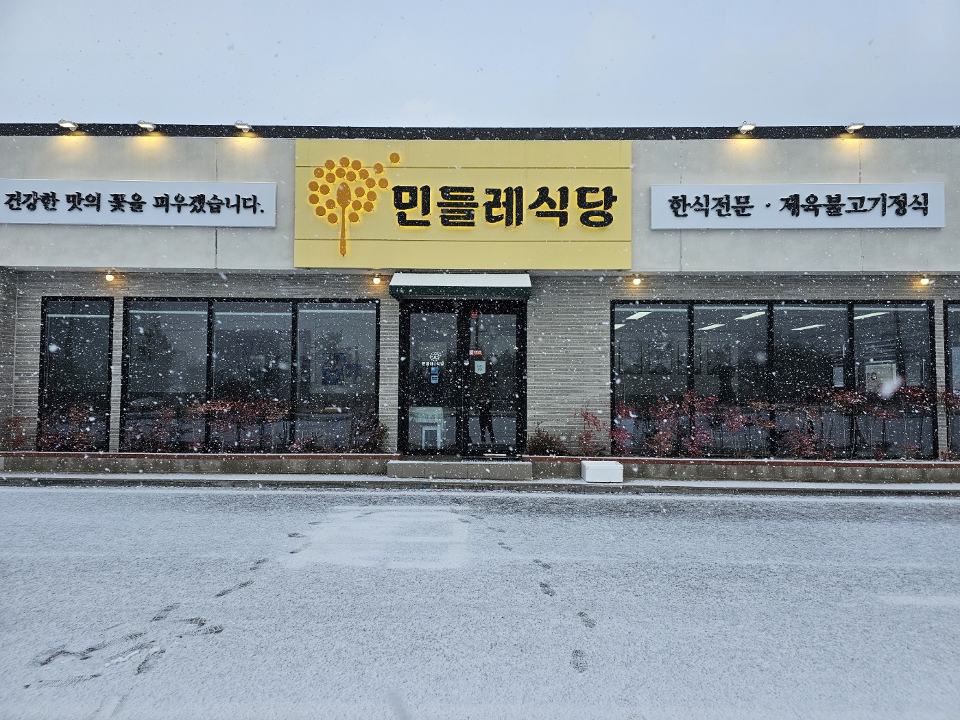 민들레 식당