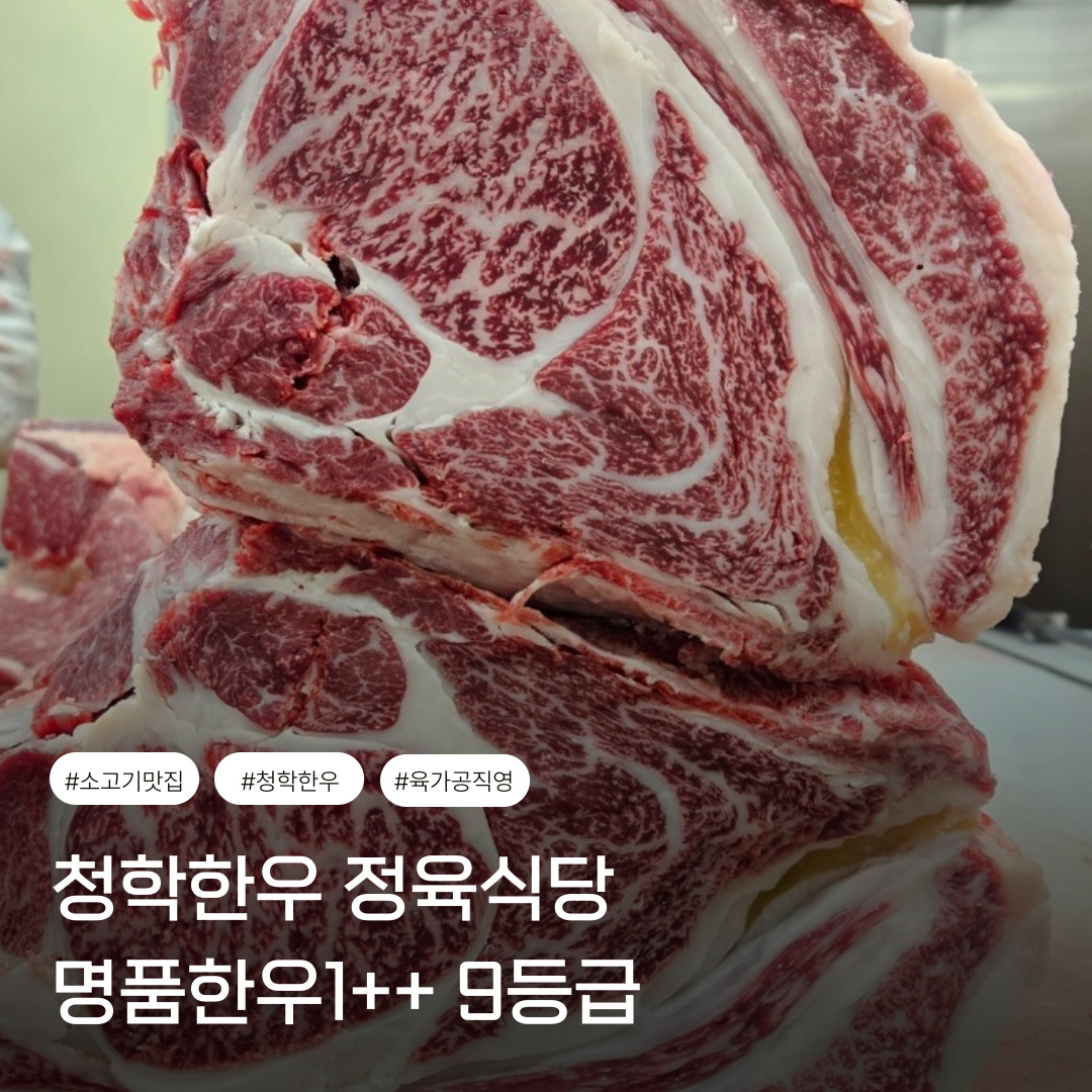 청학한우
