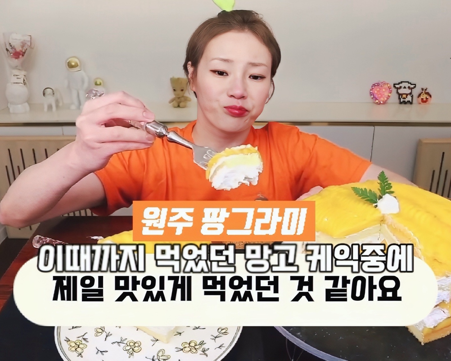 팡그라미 설명사진