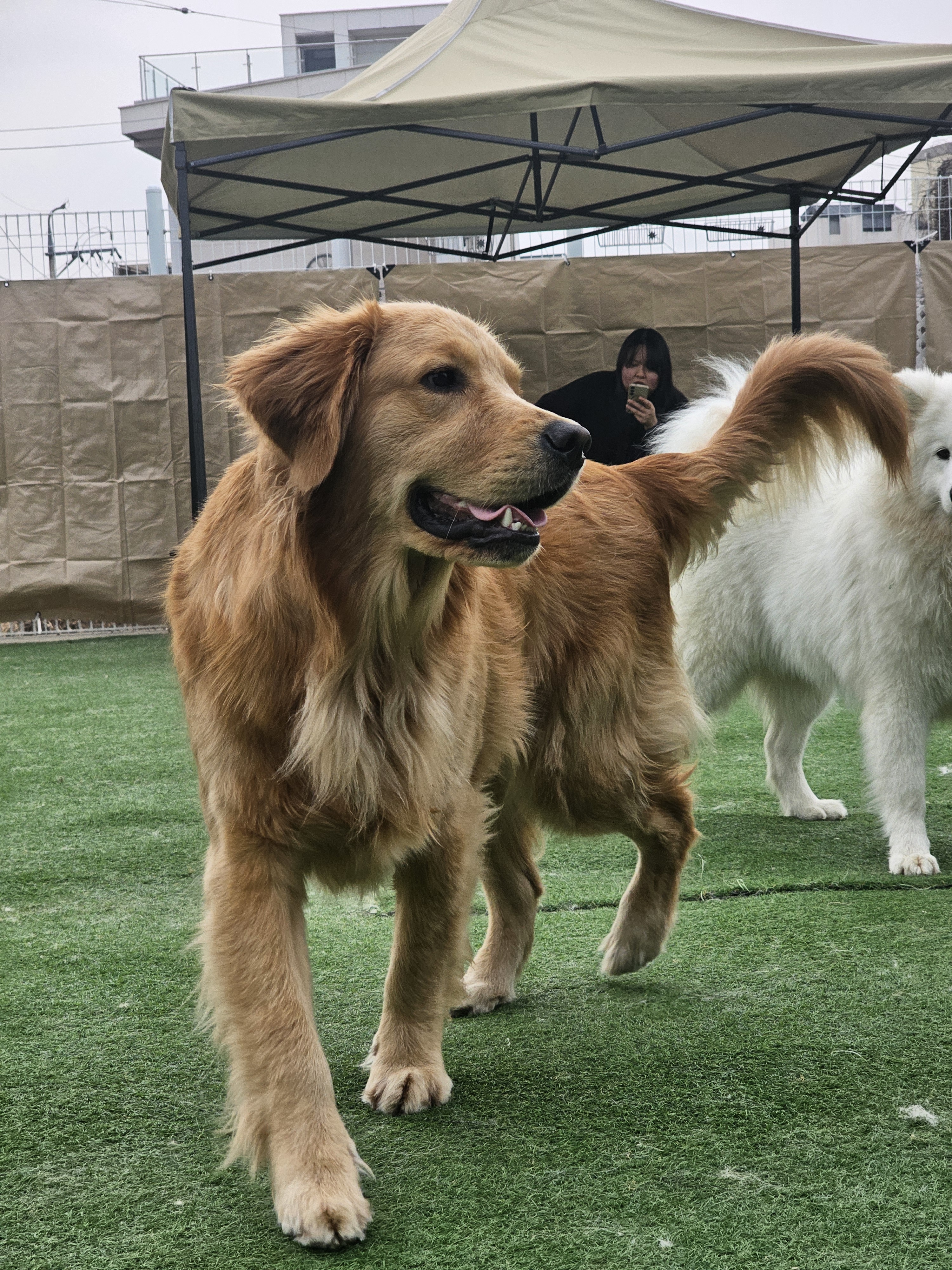 슬립독 대표 이미지