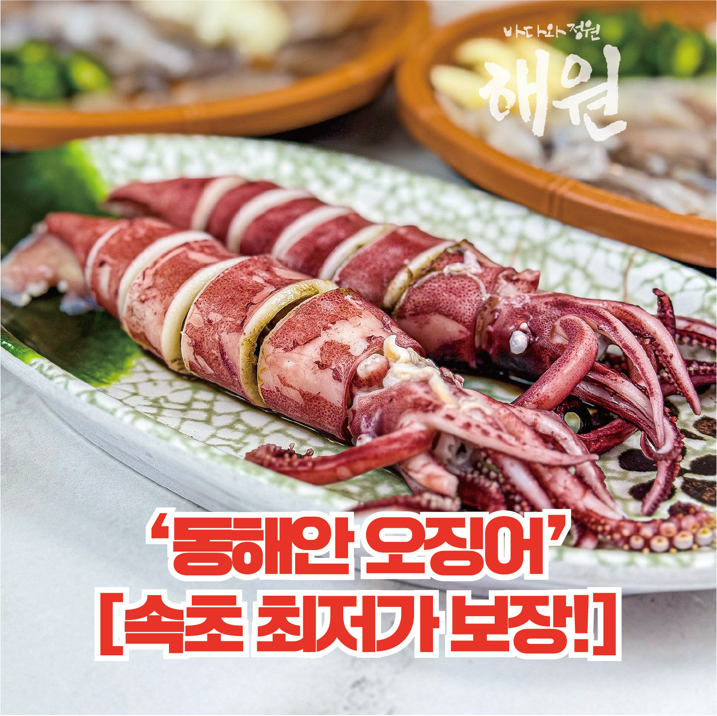 해원 속초본점 강원 애견맛집