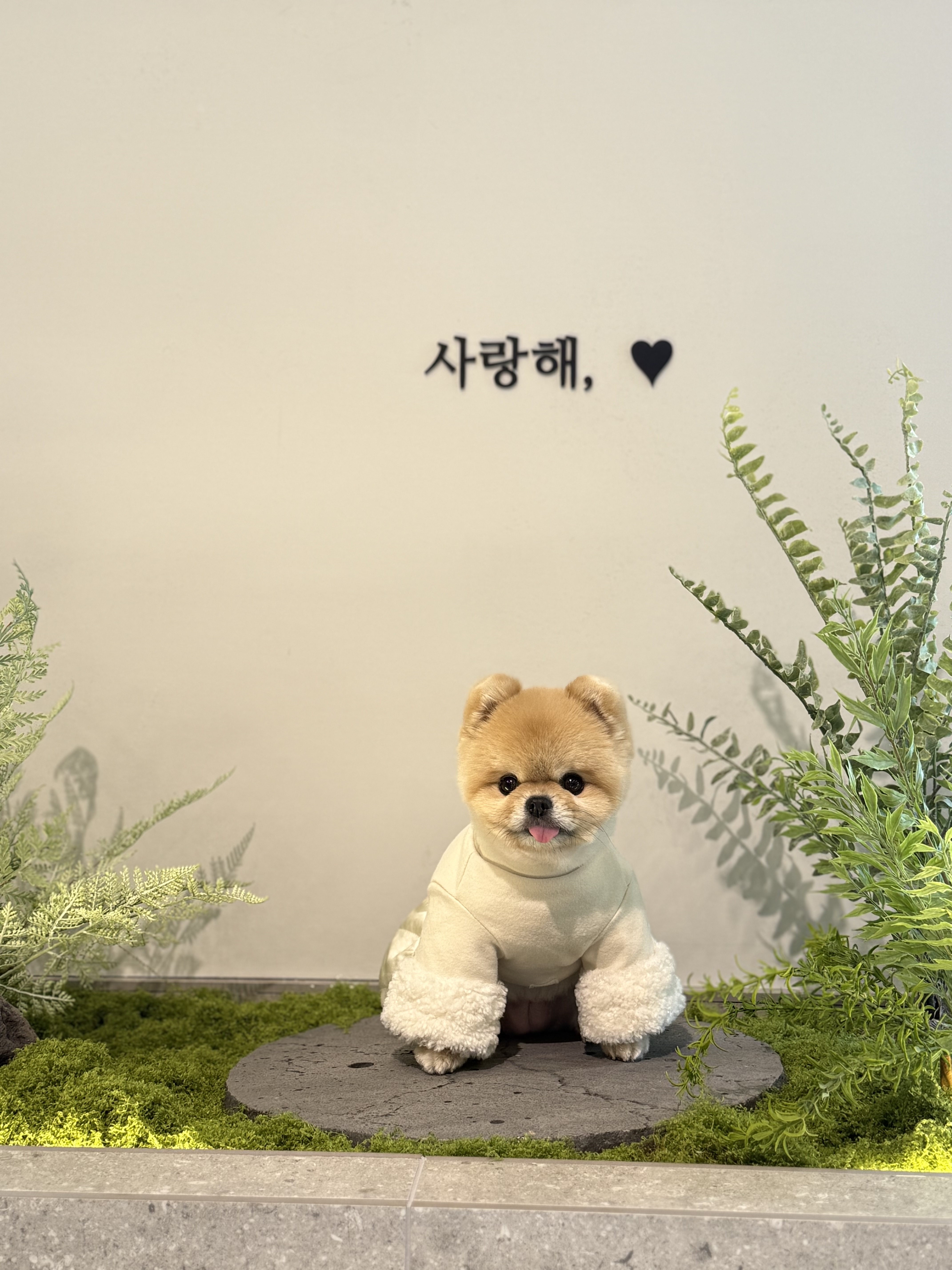 플레이스디 대표 이미지