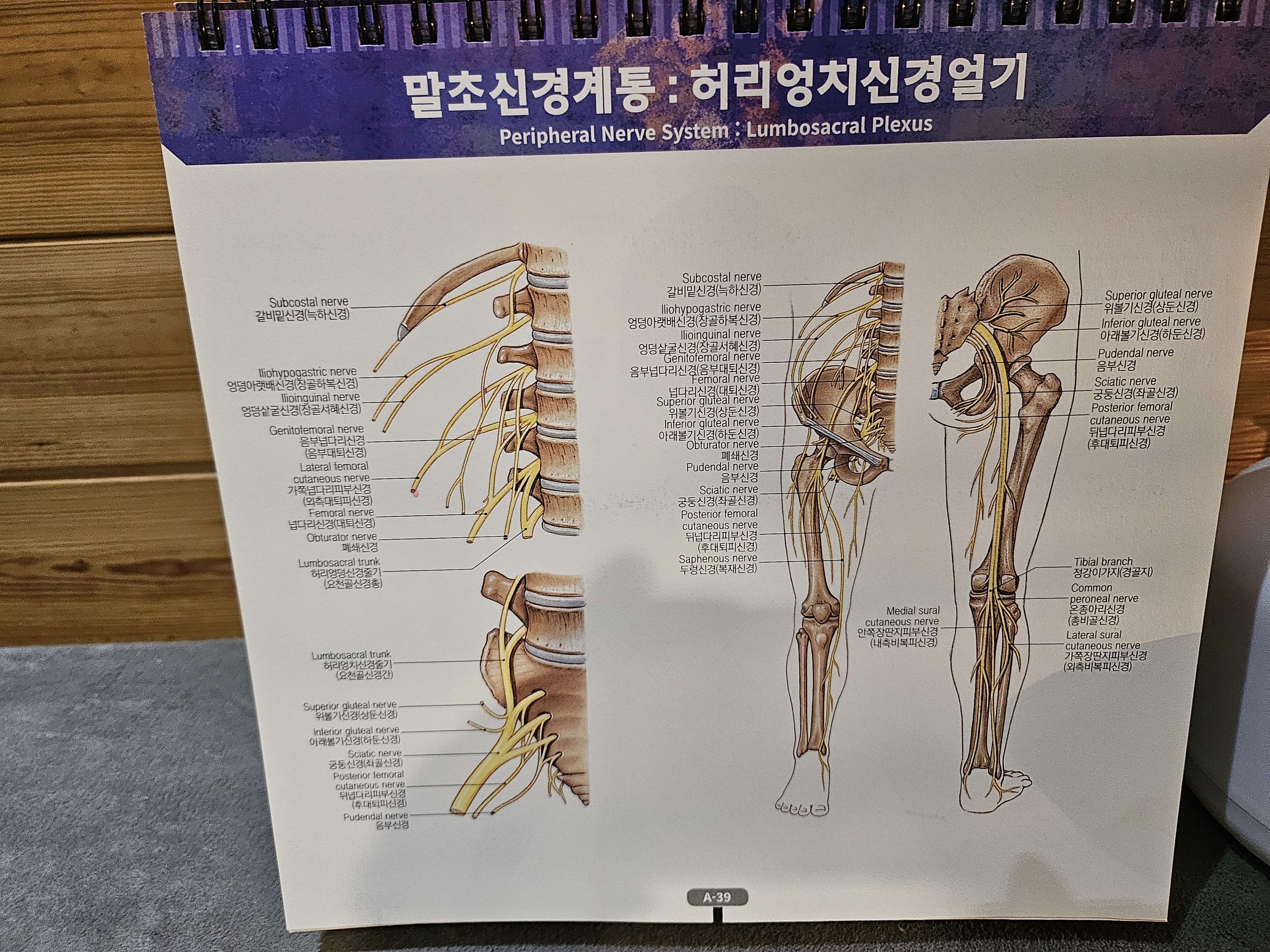 힐링중국정통마사지 안산고잔점
