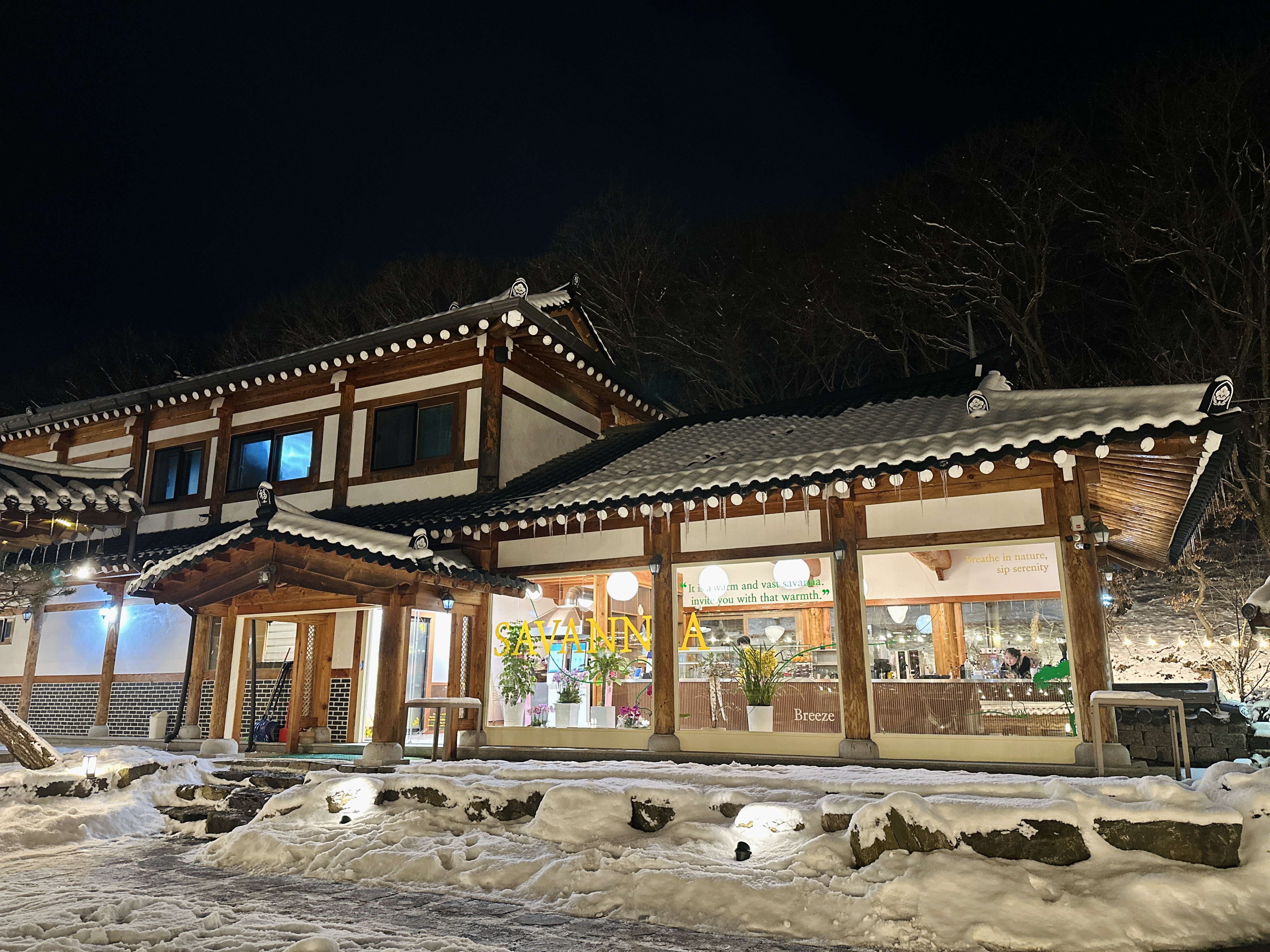 그리네 사바나