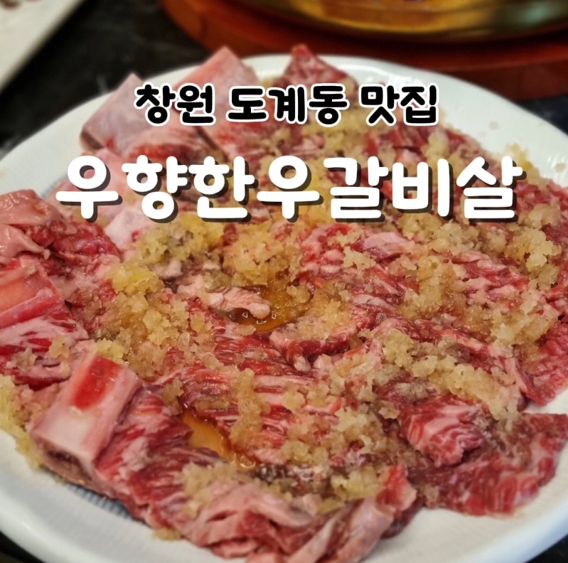 우향한우갈비살