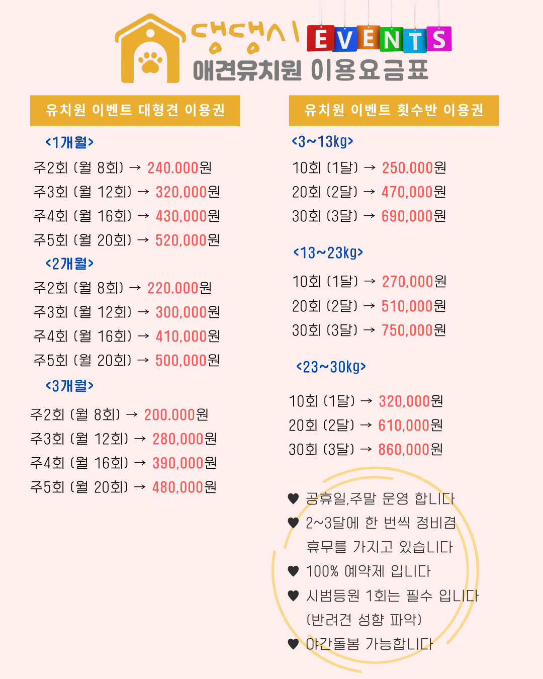 덕수네애견카페 광복로점 3
