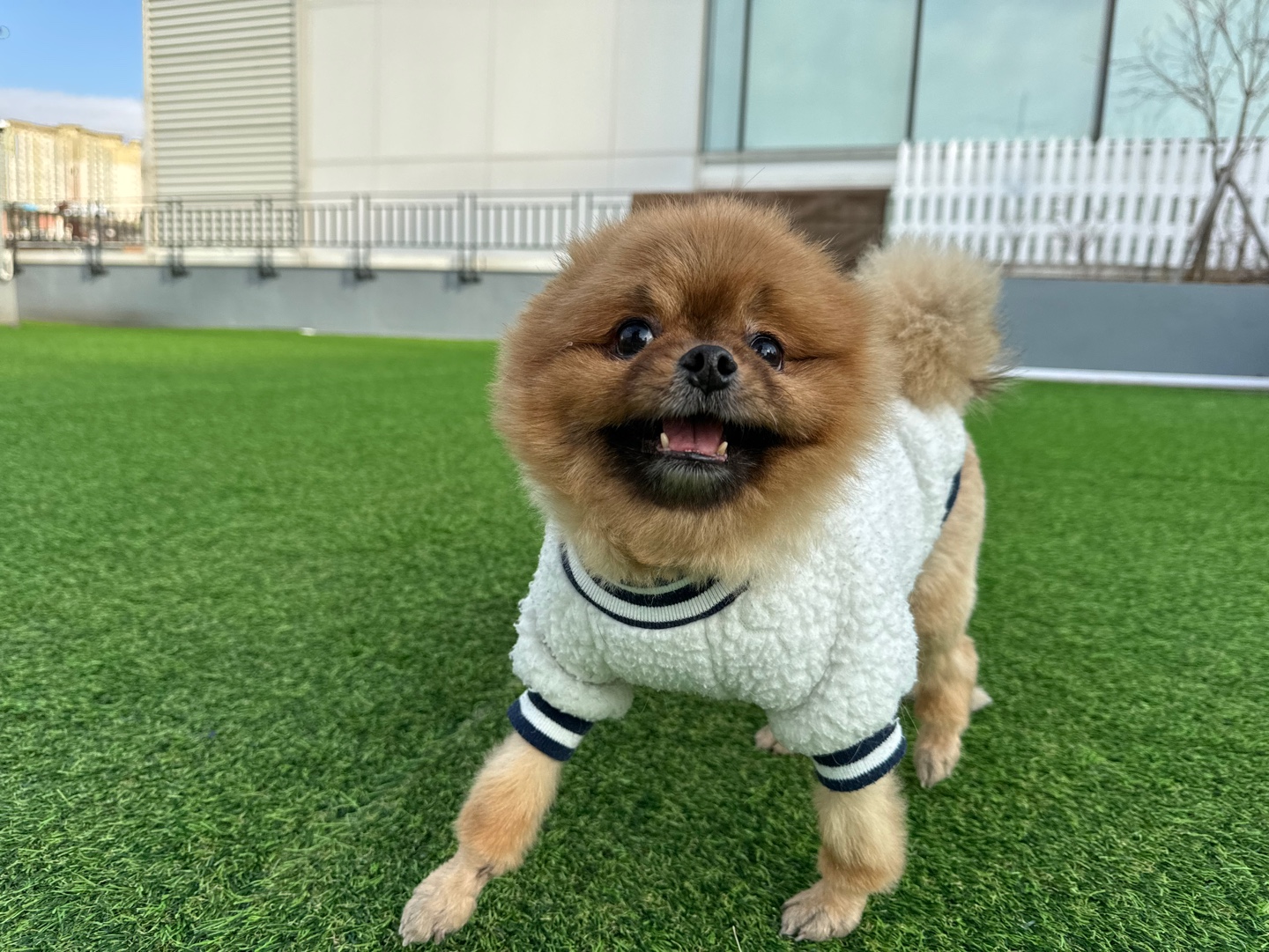 개편한세상 대표 이미지