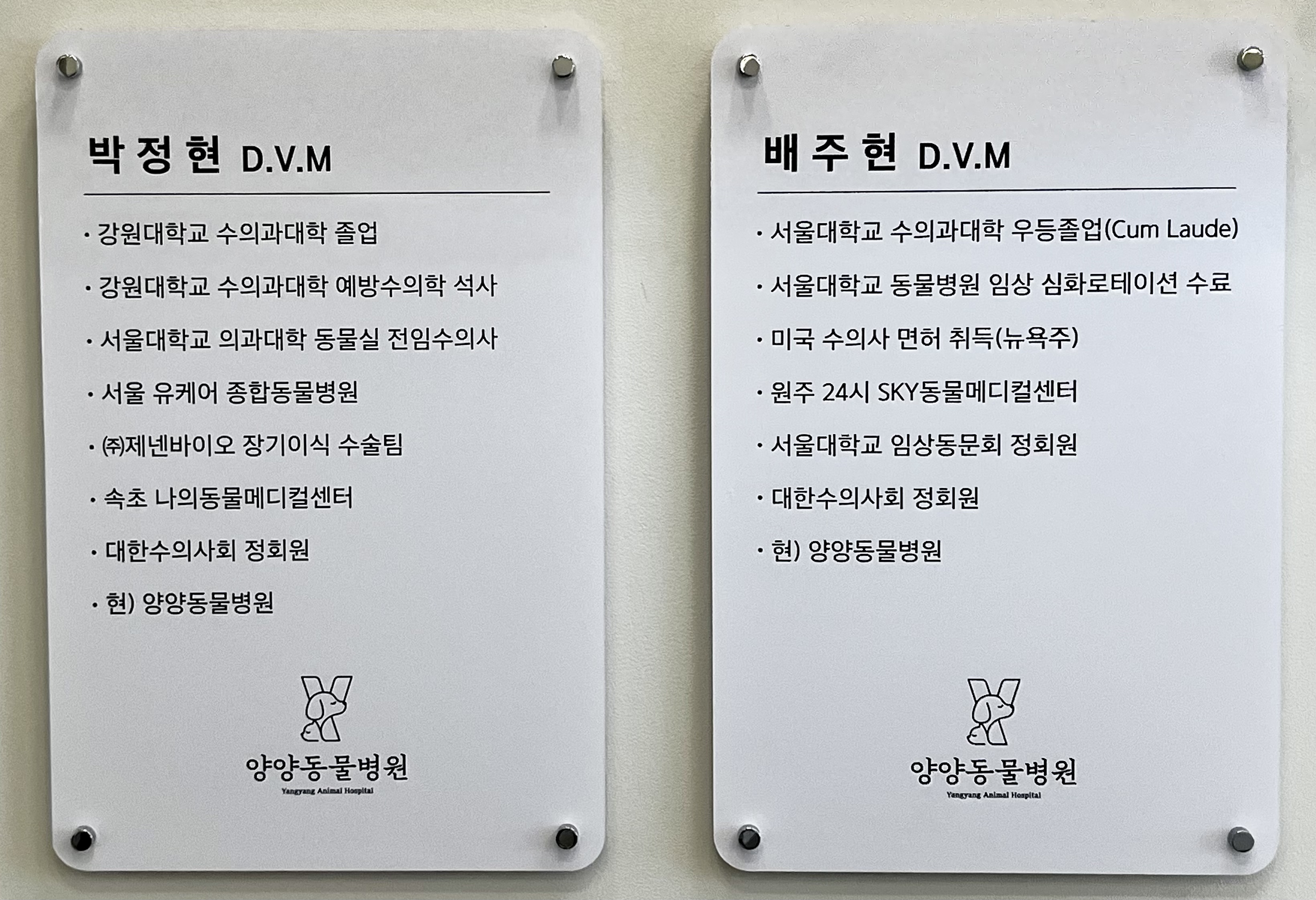 양양동물병원 대표 이미지